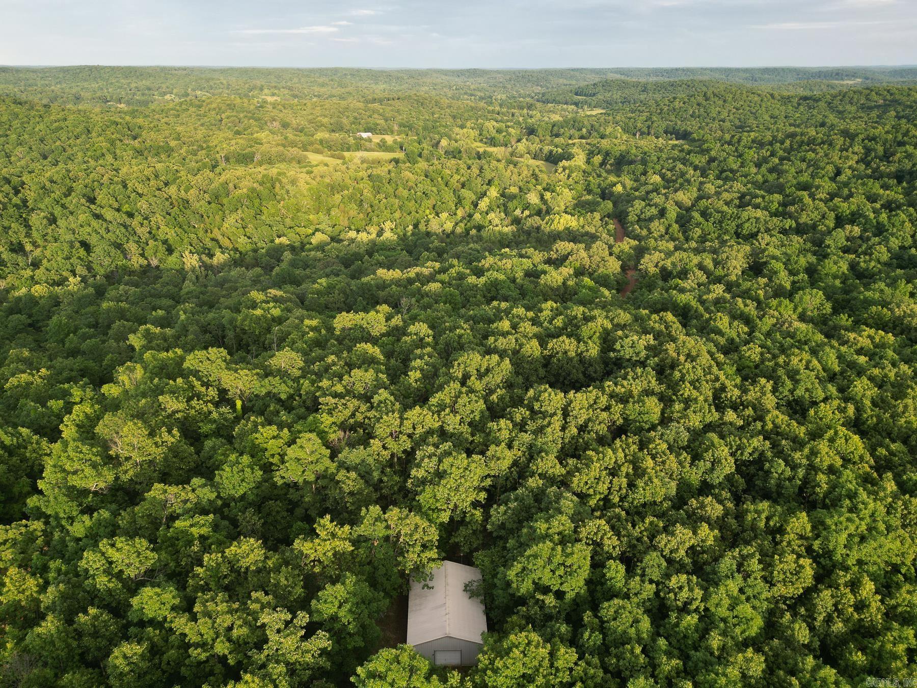 Photo 3 - Vacant Land for sale – 845  Fire Tower   Hardy, AR