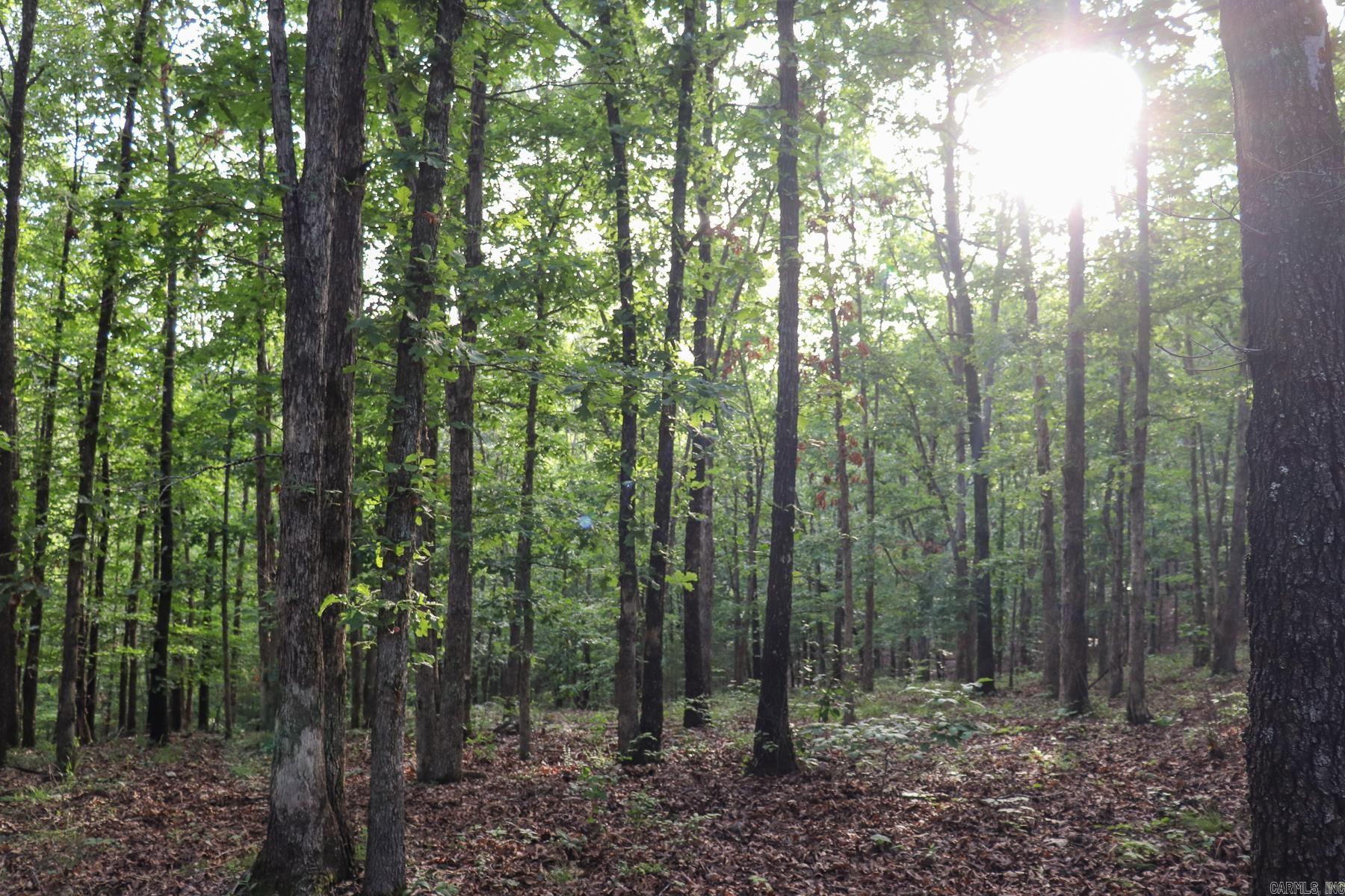 Photo 23 - Vacant Land for sale – 845  Fire Tower   Hardy, AR