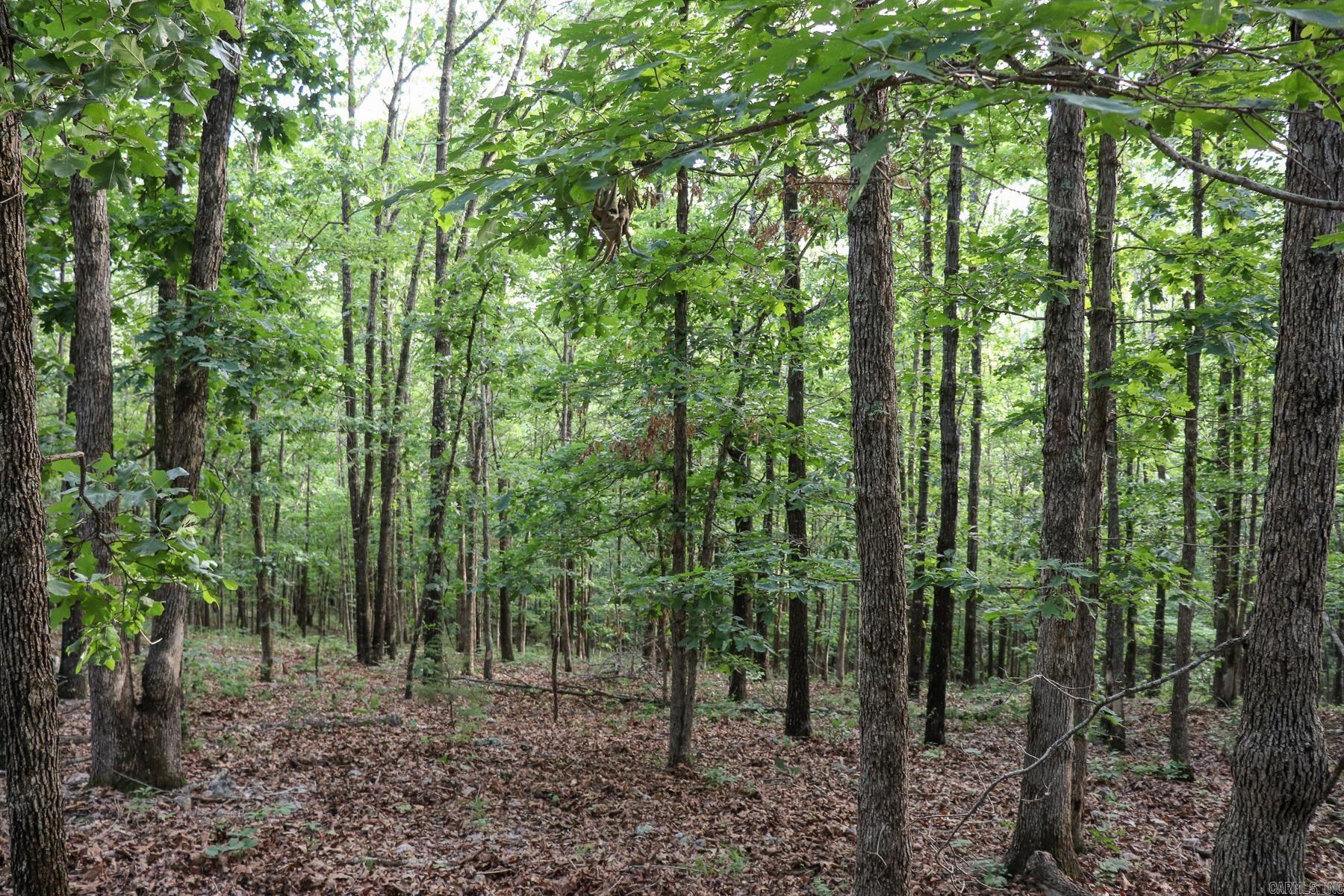 Photo 24 - Vacant Land for sale – 845  Fire Tower   Hardy, AR