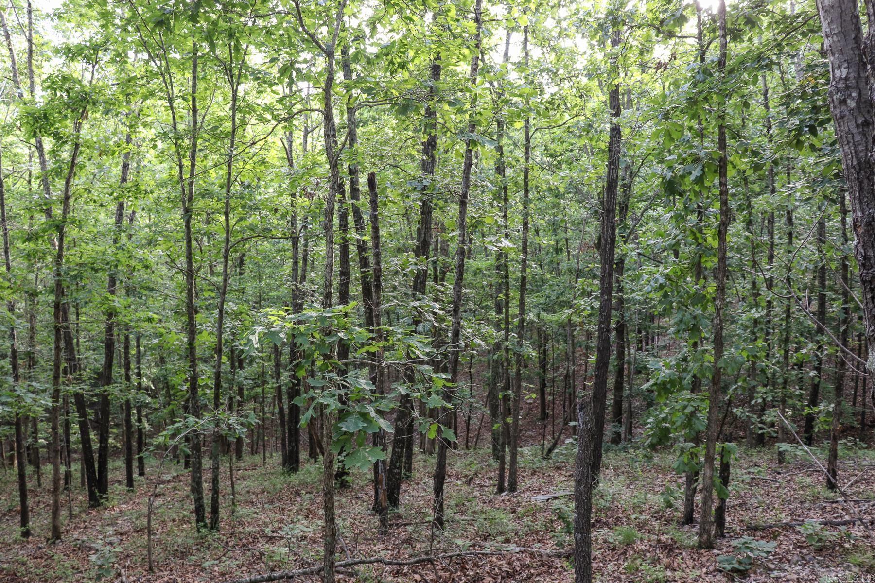 Photo 25 - Vacant Land for sale – 845  Fire Tower   Hardy, AR