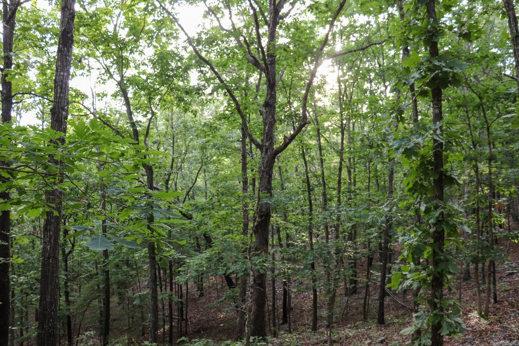 Photo 26 - Vacant Land for sale – 845  Fire Tower   Hardy, AR