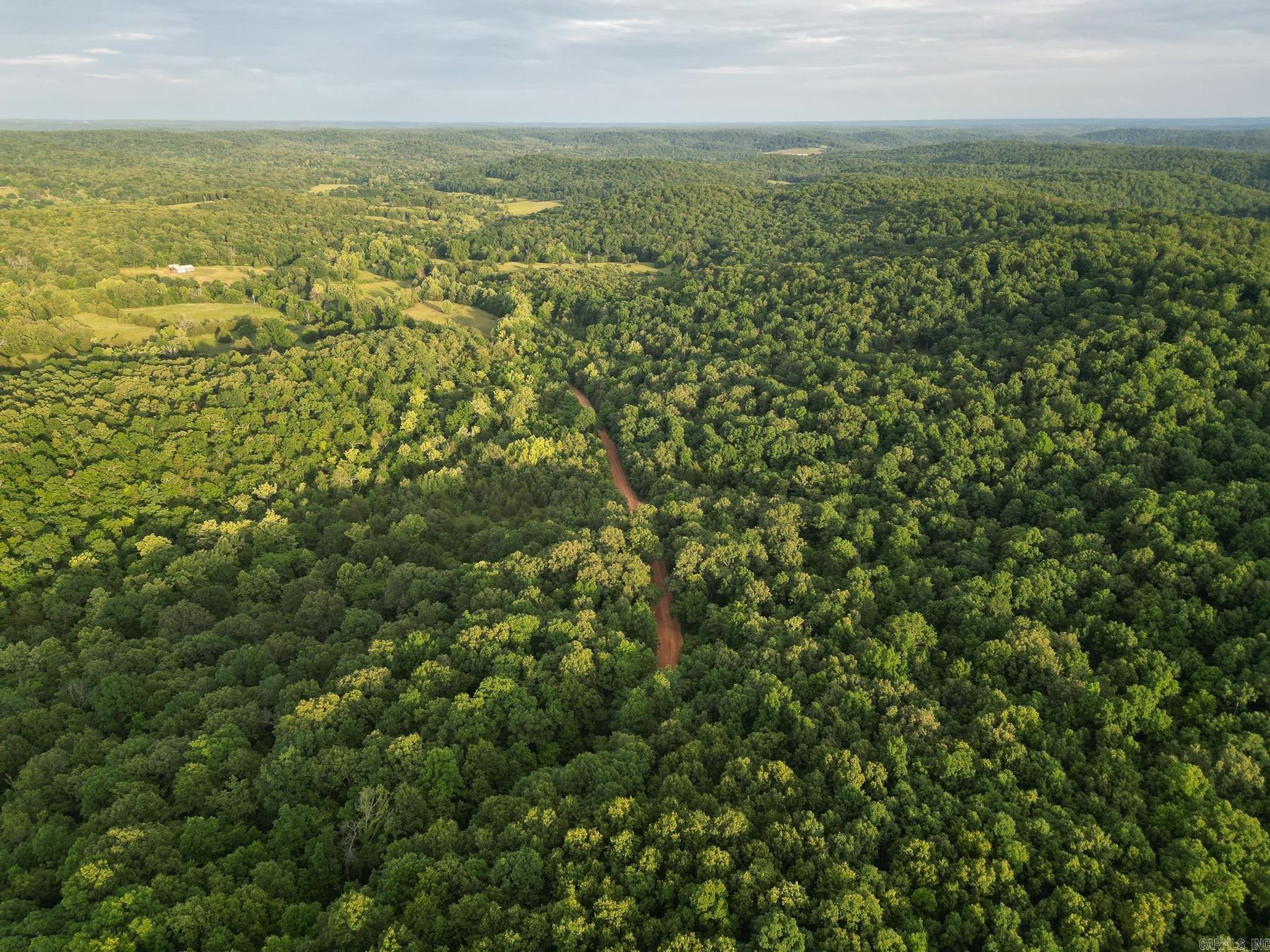 Photo 5 - Vacant Land for sale – 845  Fire Tower   Hardy, AR