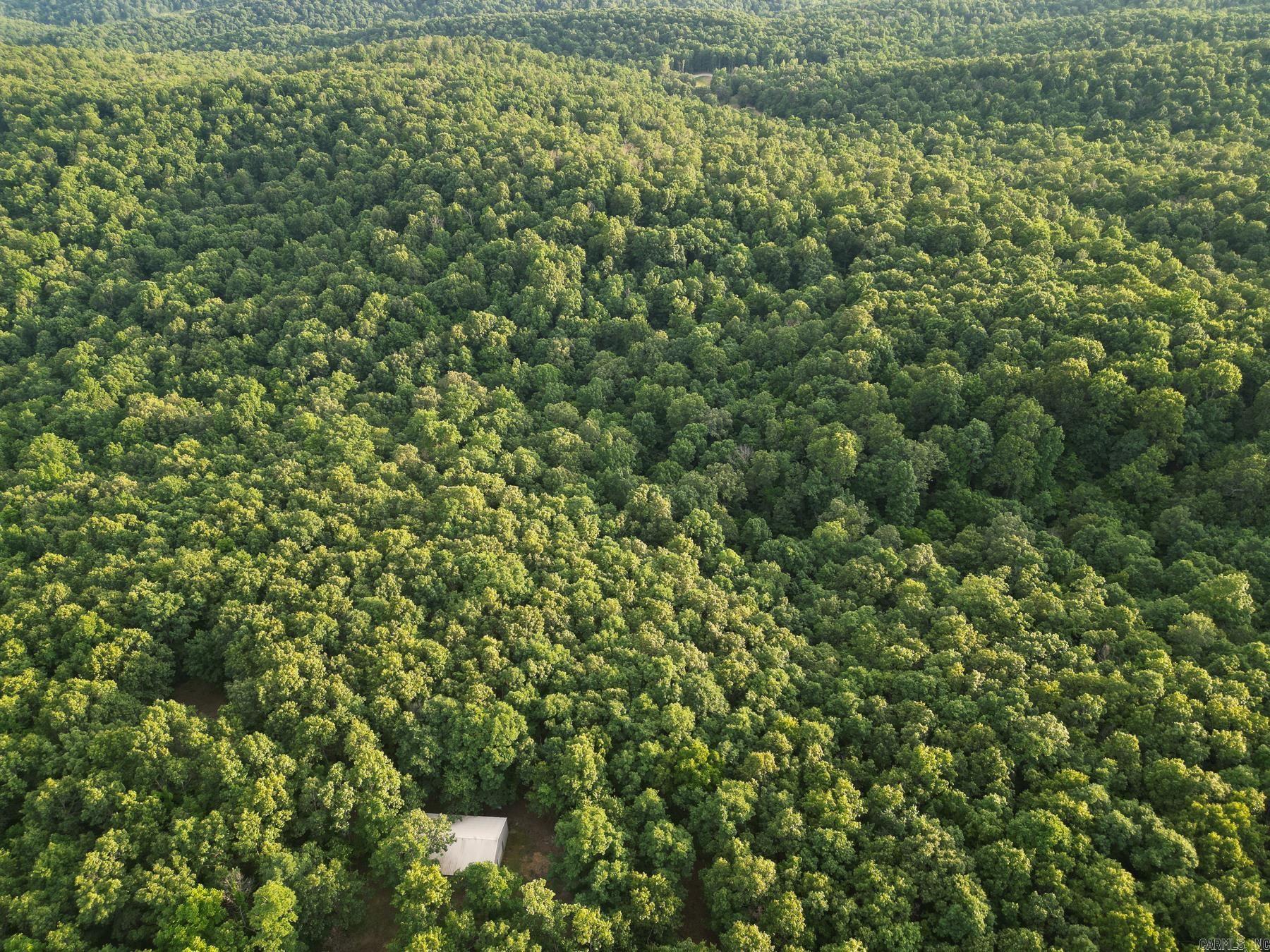 Photo 6 - Vacant Land for sale – 845  Fire Tower   Hardy, AR