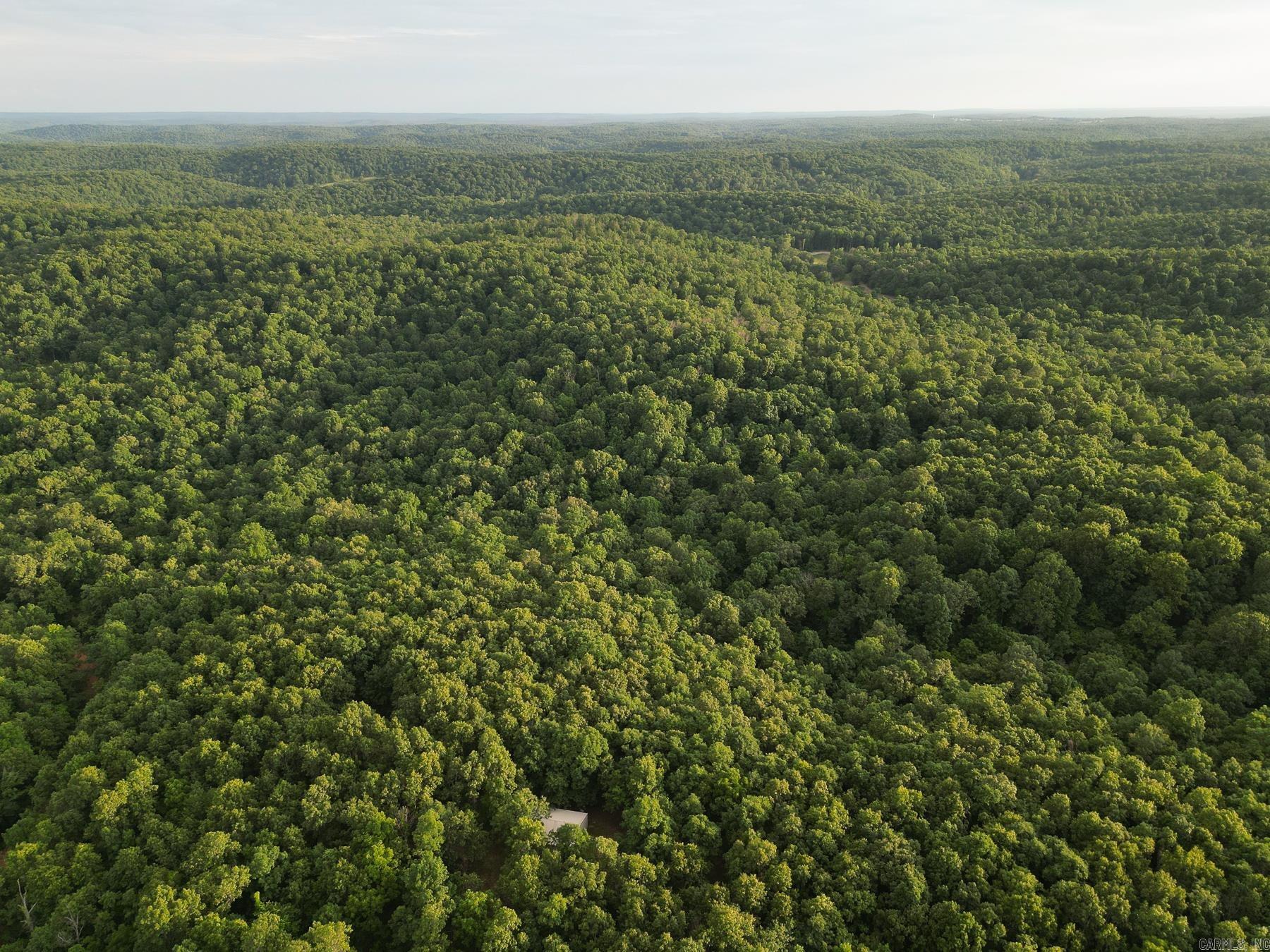 Photo 7 - Vacant Land for sale – 845  Fire Tower   Hardy, AR