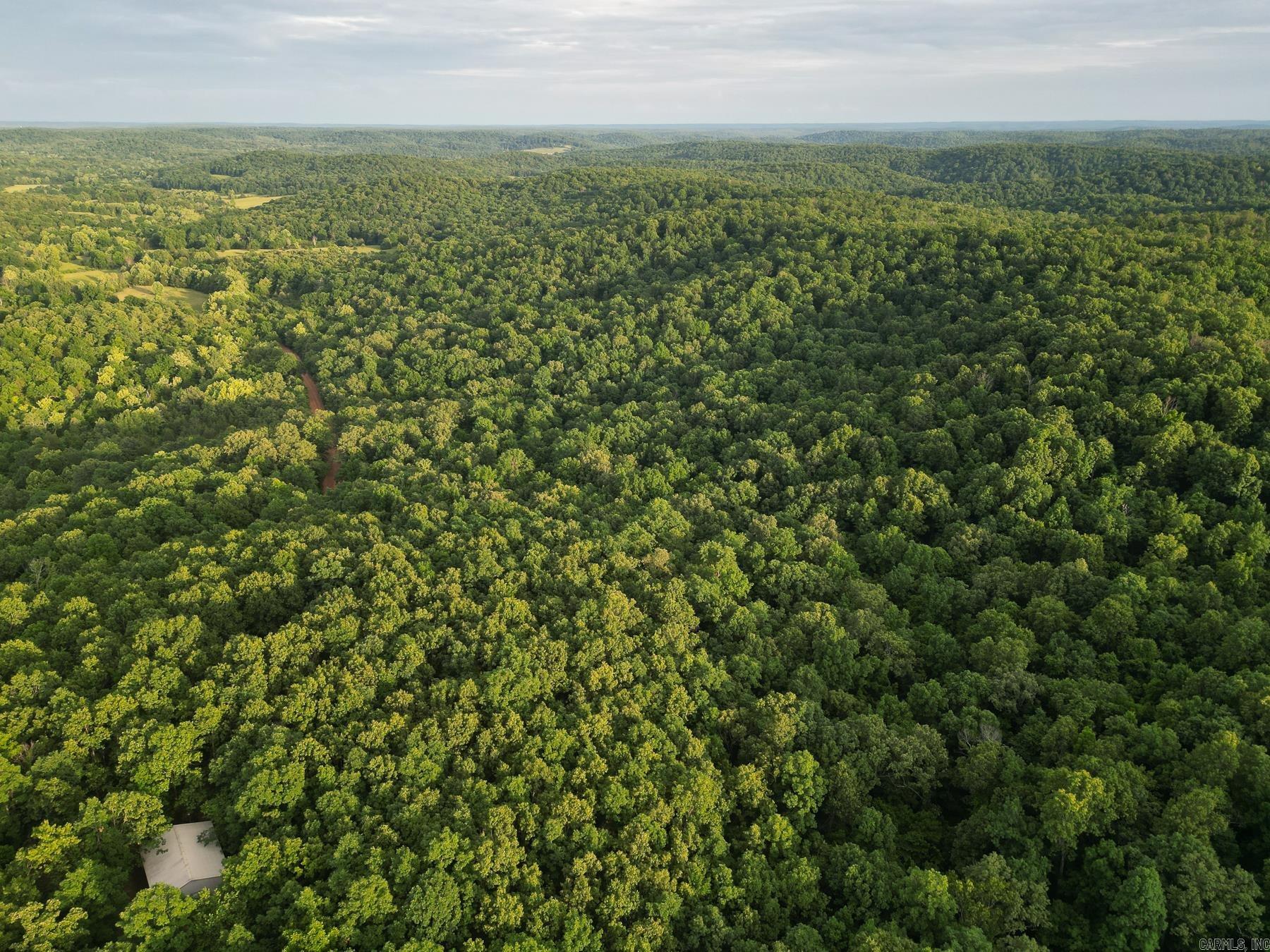 Photo 8 - Vacant Land for sale – 845  Fire Tower   Hardy, AR