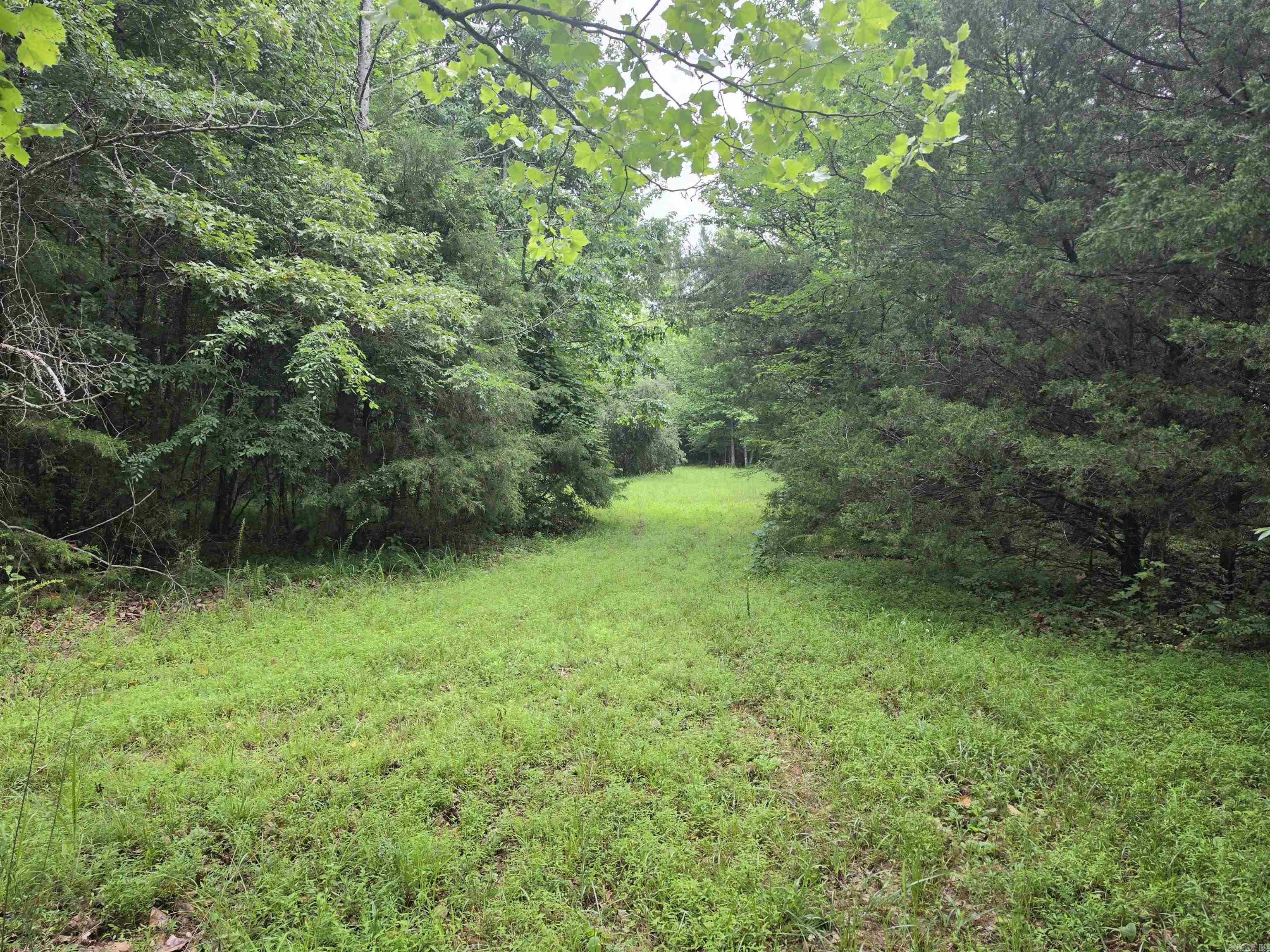 Photo 45 - Residential for sale – 38  Allen Road   Smithville, AR