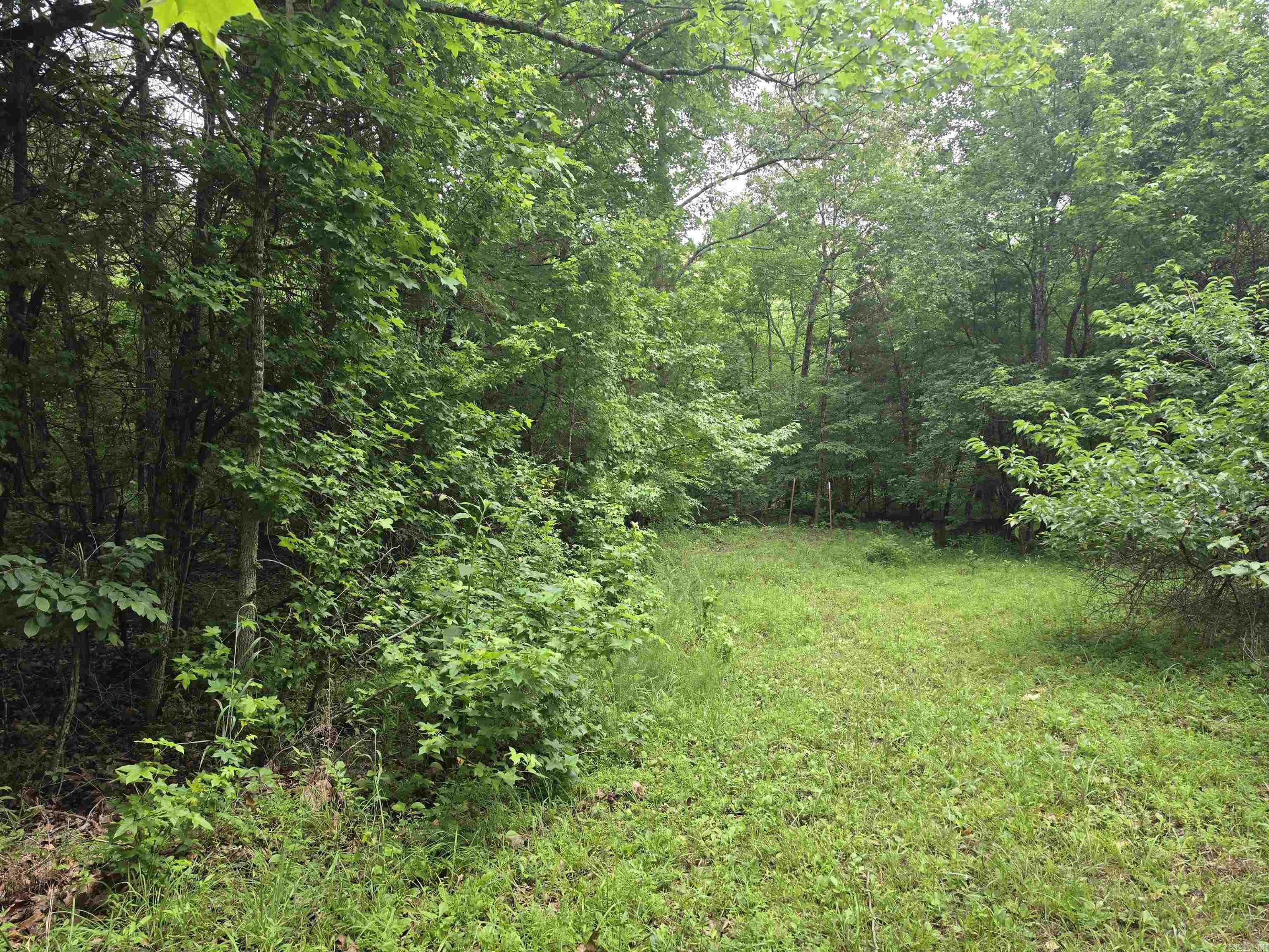 Photo 46 - Residential for sale – 38  Allen Road   Smithville, AR
