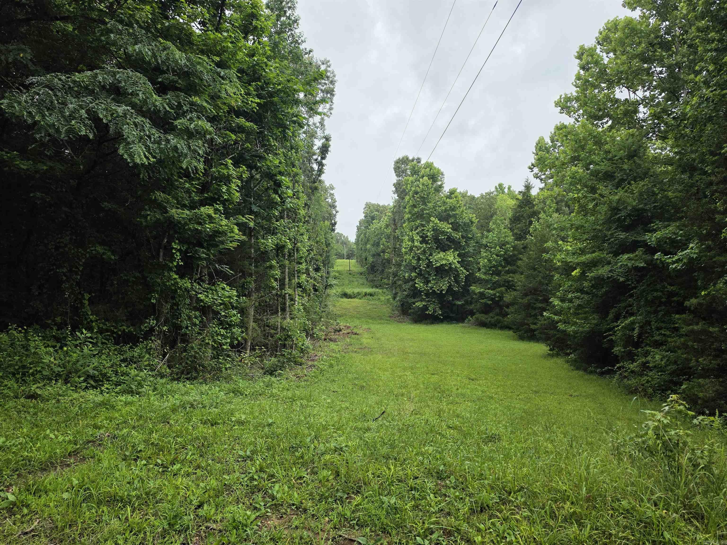Photo 49 - Residential for sale – 38  Allen Road   Smithville, AR