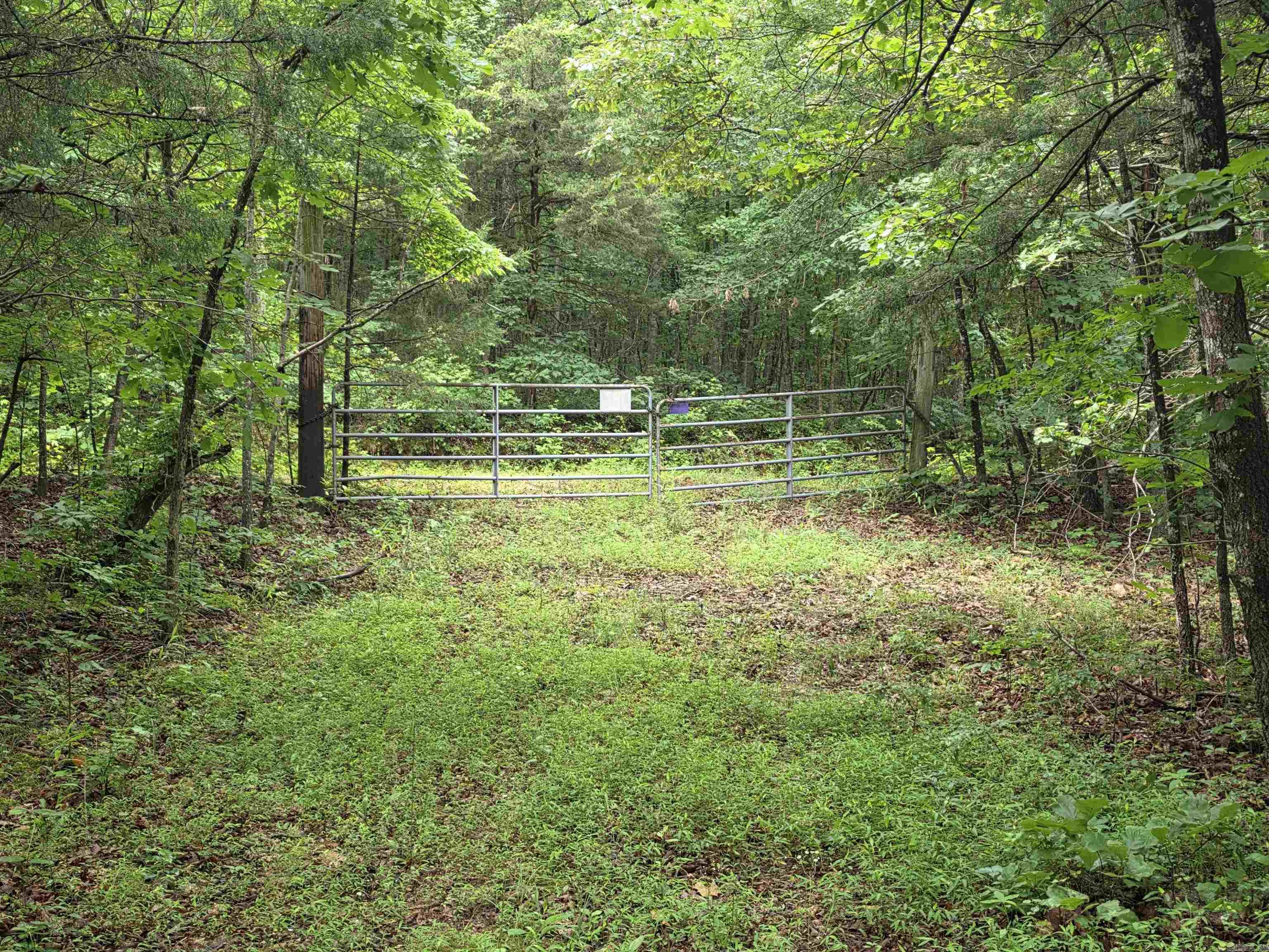 Photo 50 - Residential for sale – 38  Allen Road   Smithville, AR