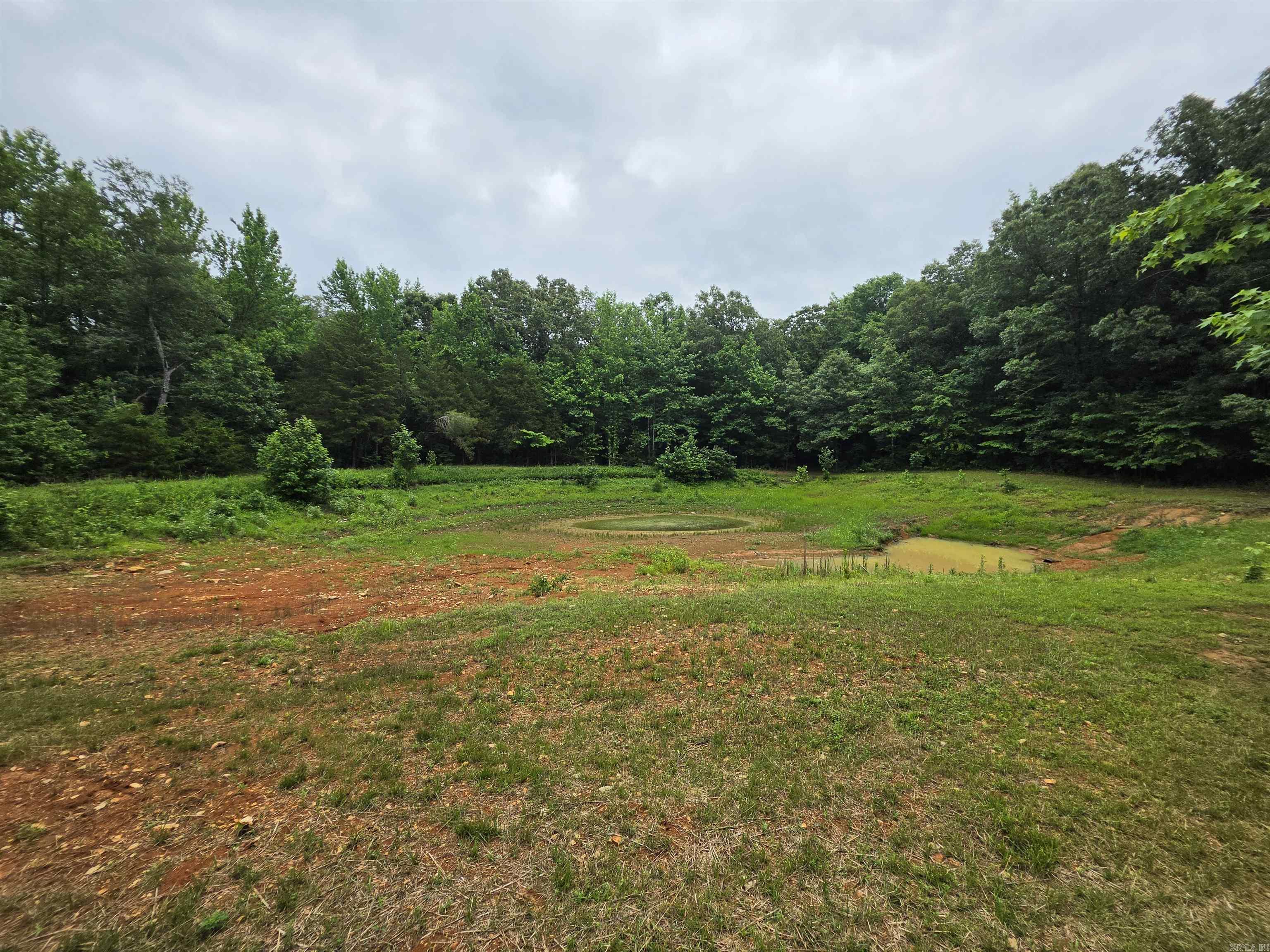 Photo 6 - Residential for sale – 38  Allen Road   Smithville, AR