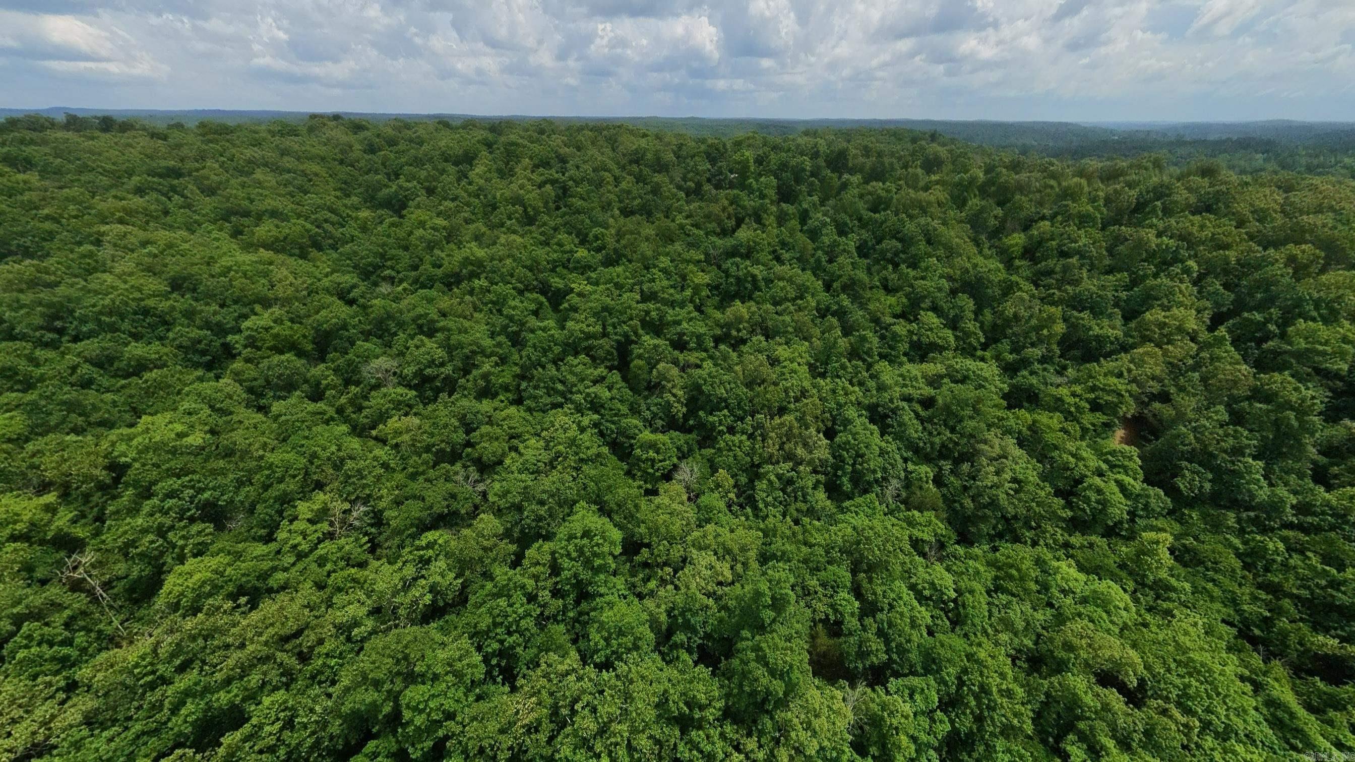 Photo 12 - Vacant Land for sale – 000  Music Hall   Mammoth Spring, AR