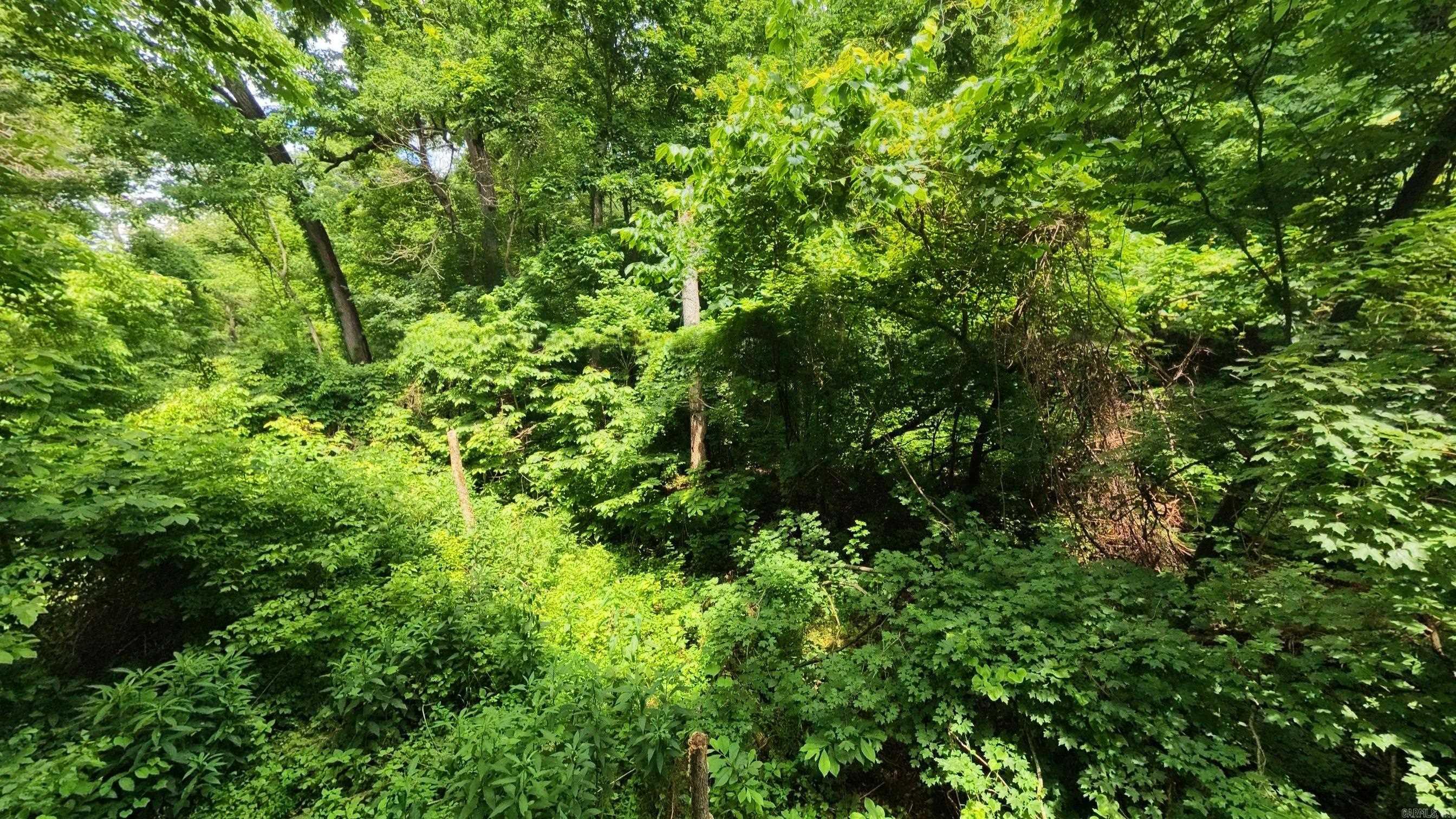 Photo 14 - Vacant Land for sale – 000  Music Hall   Mammoth Spring, AR