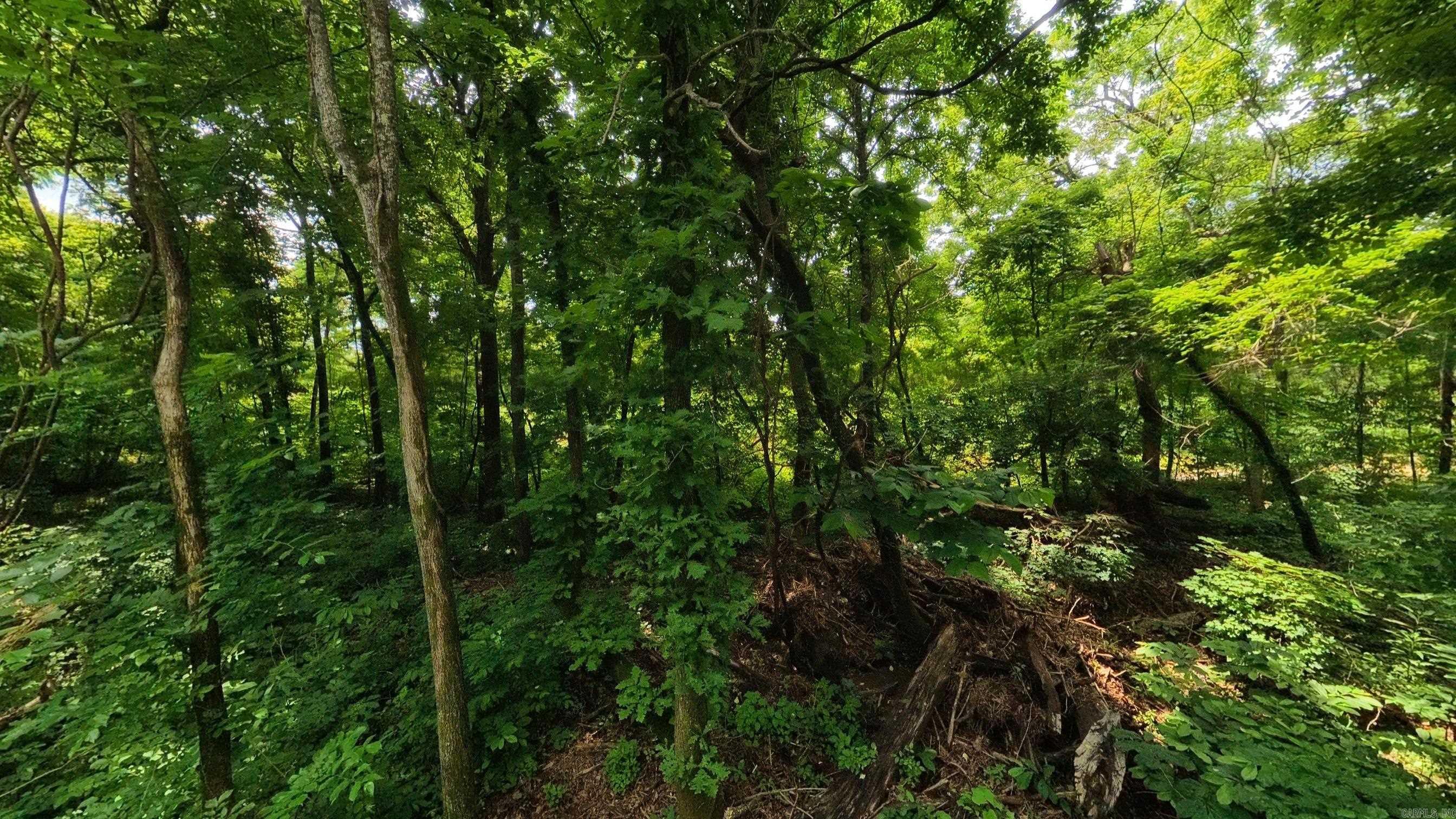 Photo 15 - Vacant Land for sale – 000  Music Hall   Mammoth Spring, AR