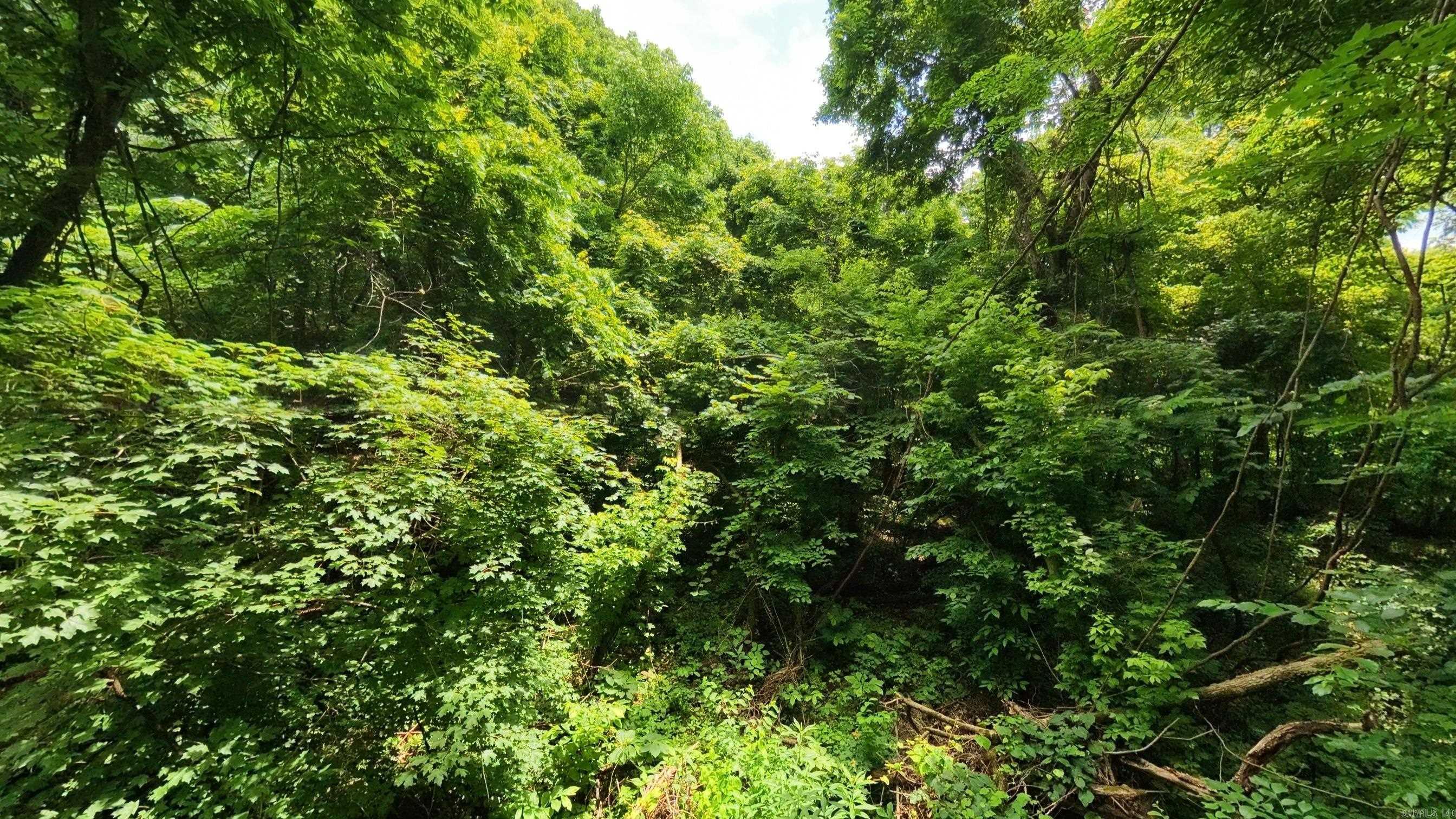 Photo 16 - Vacant Land for sale – 000  Music Hall   Mammoth Spring, AR