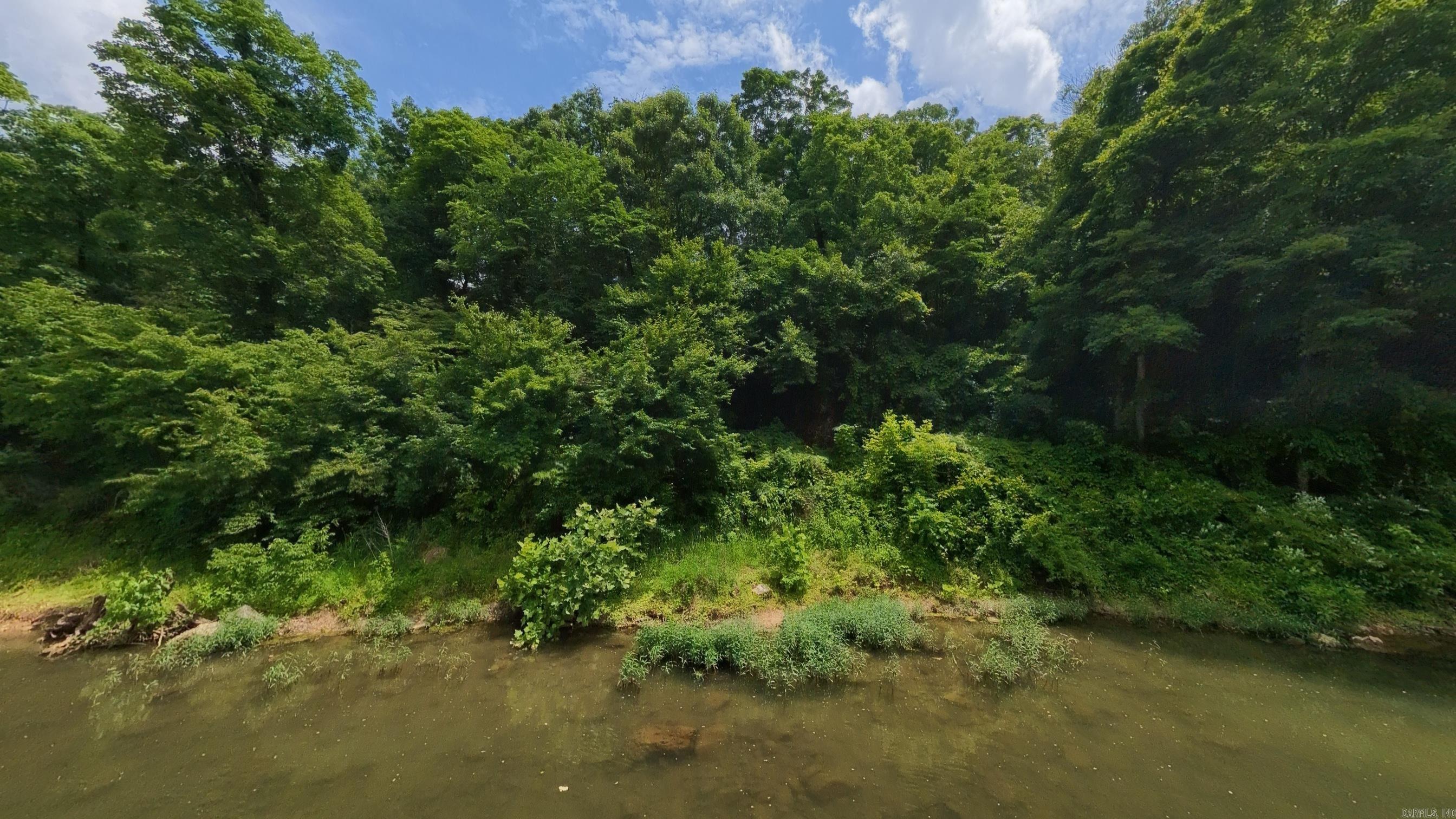 Photo 9 - Vacant Land for sale – 000  Music Hall   Mammoth Spring, AR