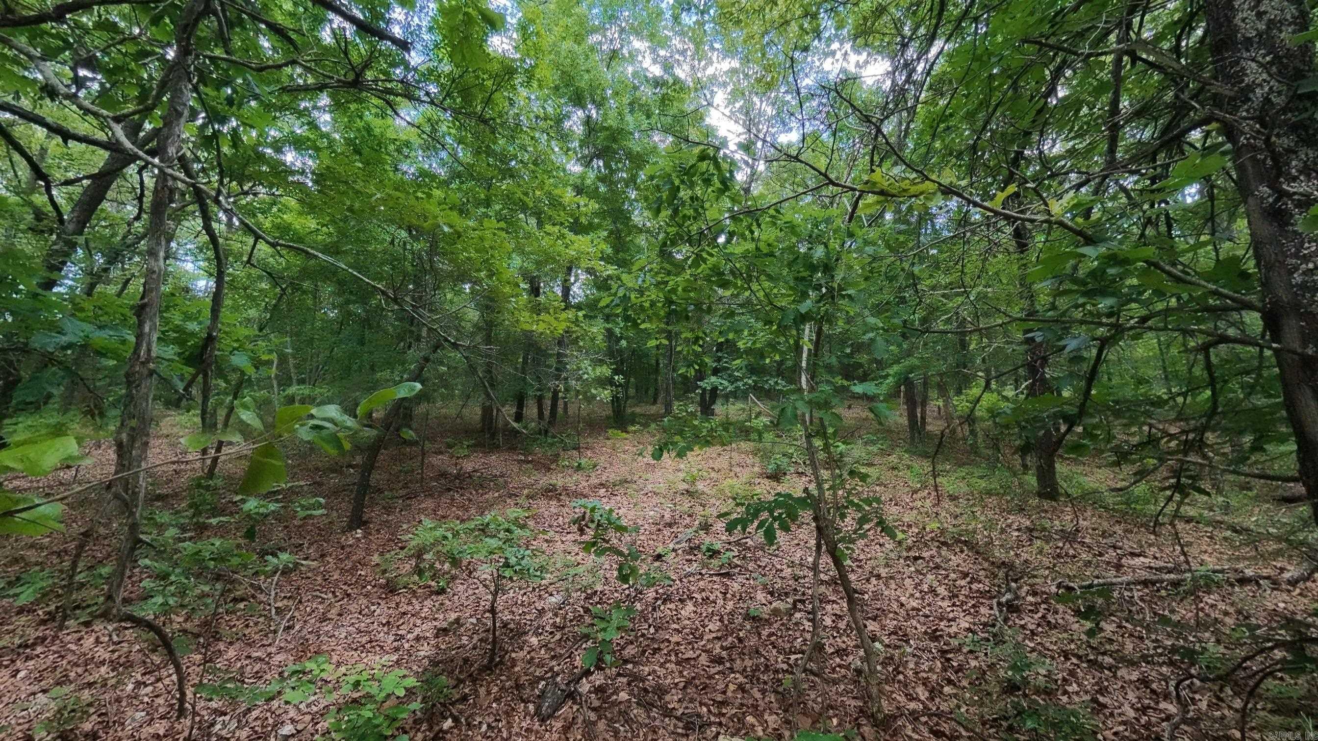 Photo 11 - Vacant Land for sale – 000 N Camp Creek   Mammoth Spring, AR