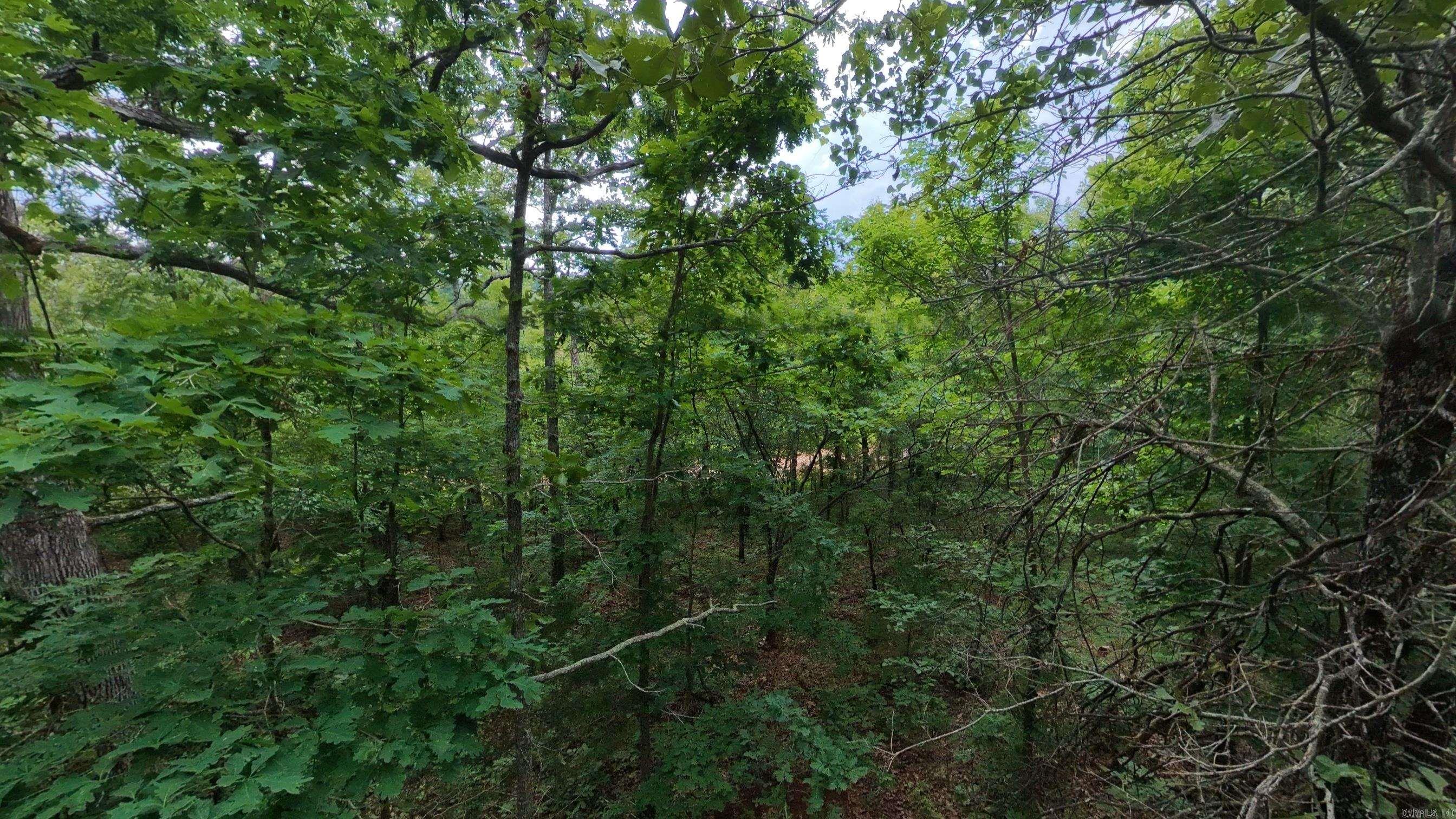 Photo 12 - Vacant Land for sale – 000 N Camp Creek   Mammoth Spring, AR