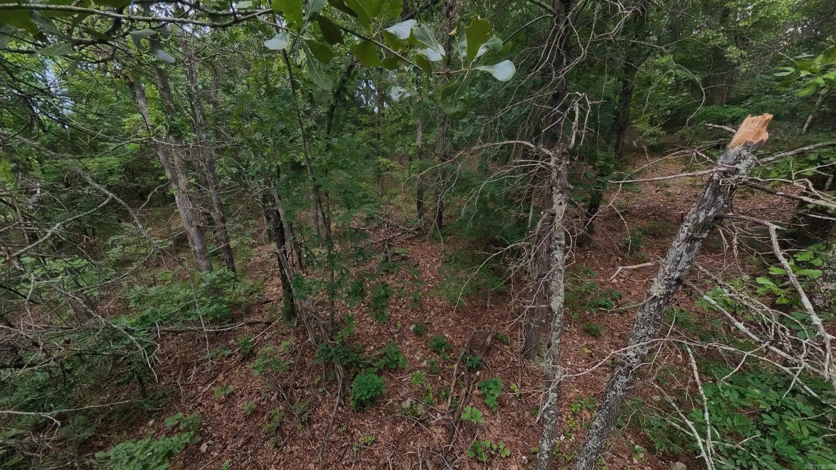 Photo 13 - Vacant Land for sale – 000 N Camp Creek   Mammoth Spring, AR