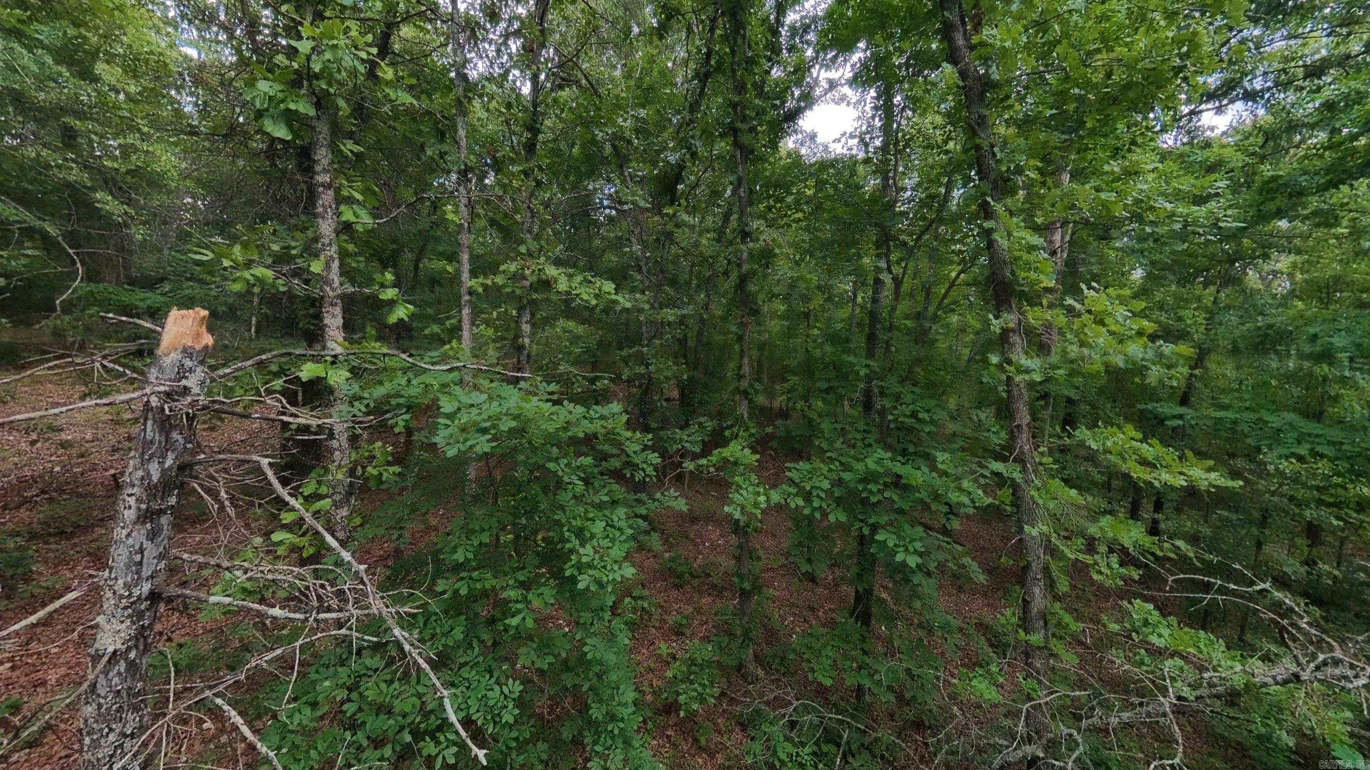 Photo 14 - Vacant Land for sale – 000 N Camp Creek   Mammoth Spring, AR