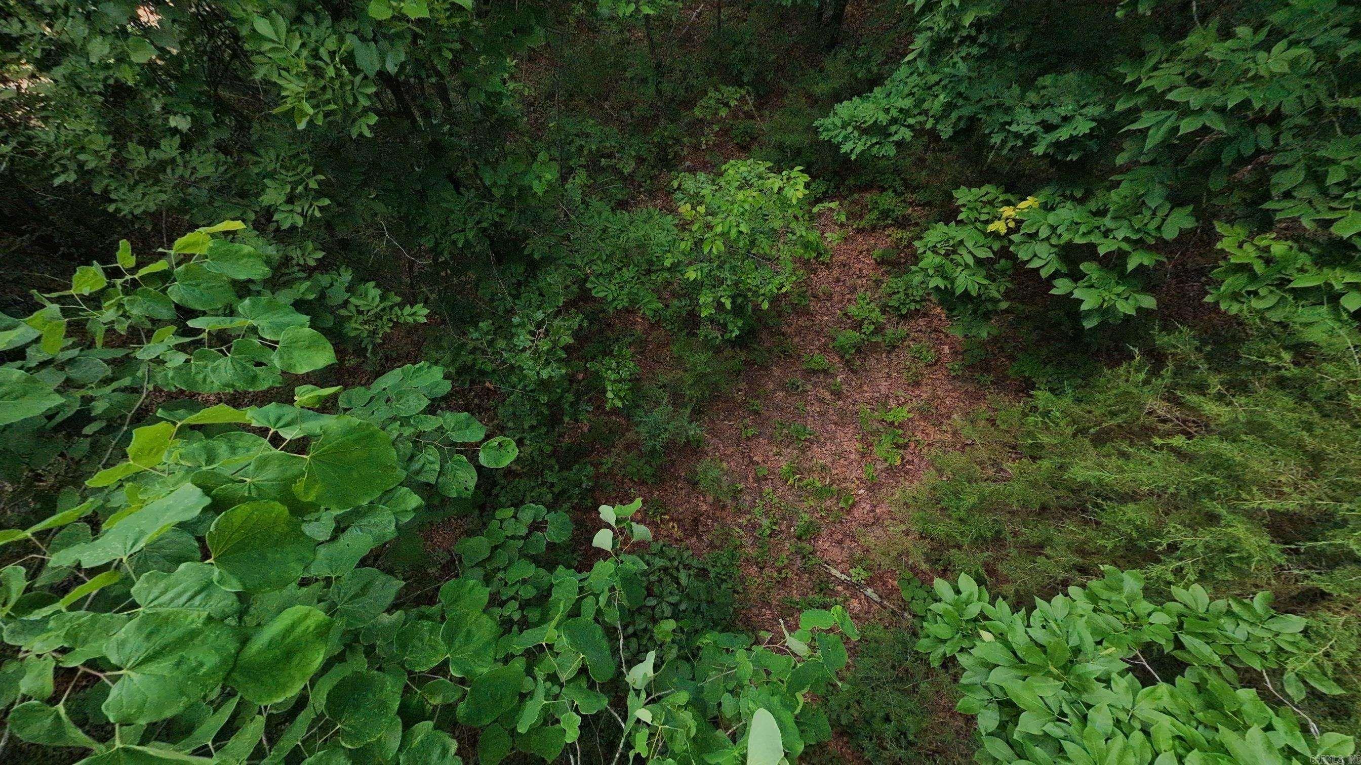 Photo 15 - Vacant Land for sale – 000 N Camp Creek   Mammoth Spring, AR