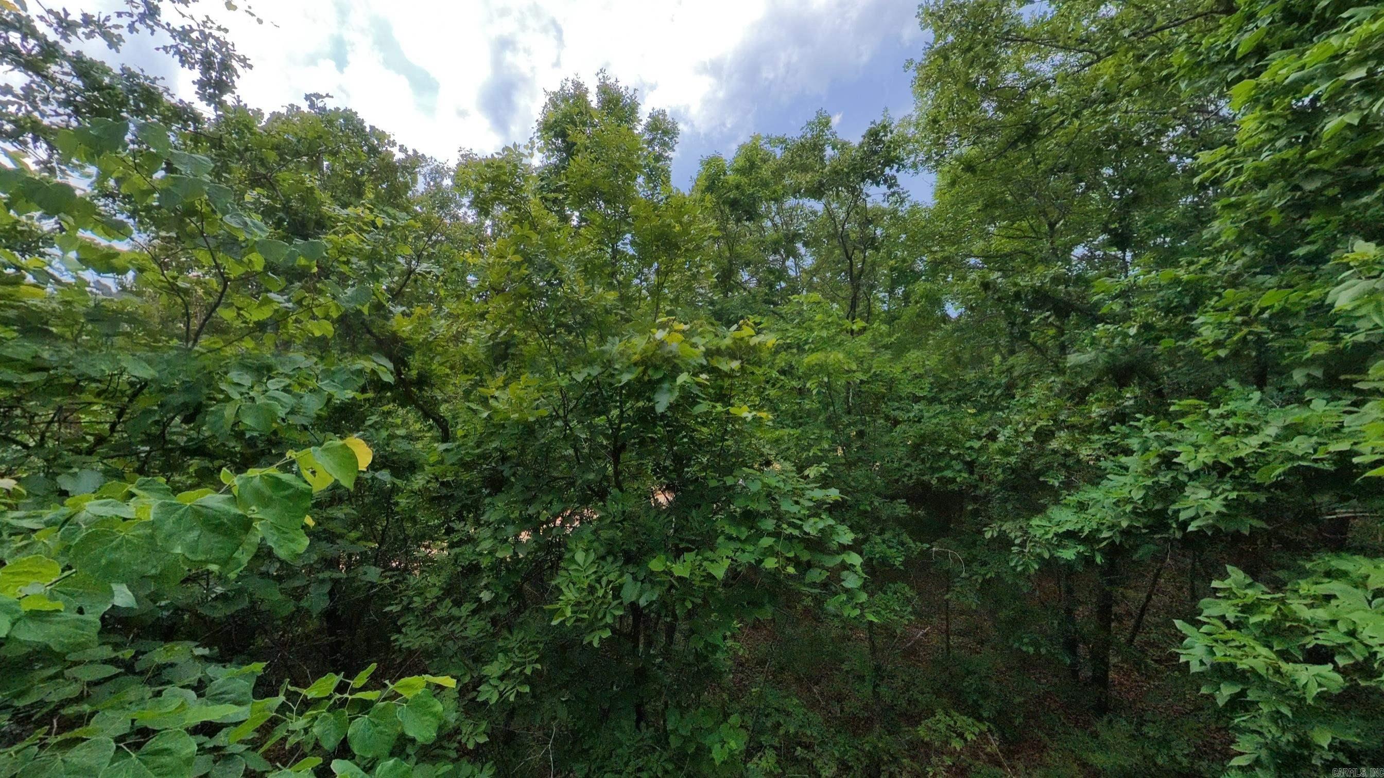 Photo 16 - Vacant Land for sale – 000 N Camp Creek   Mammoth Spring, AR