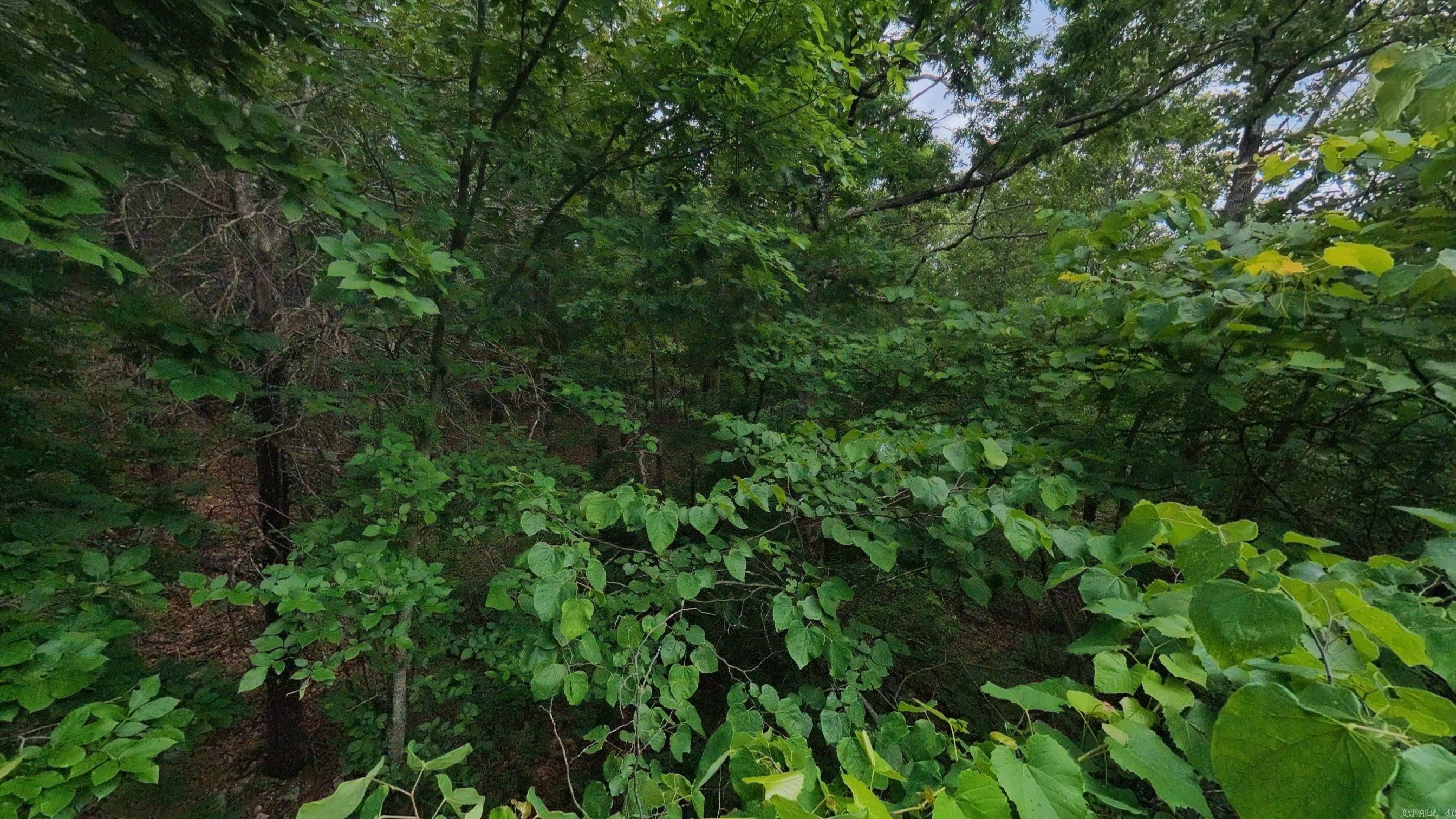Photo 17 - Vacant Land for sale – 000 N Camp Creek   Mammoth Spring, AR