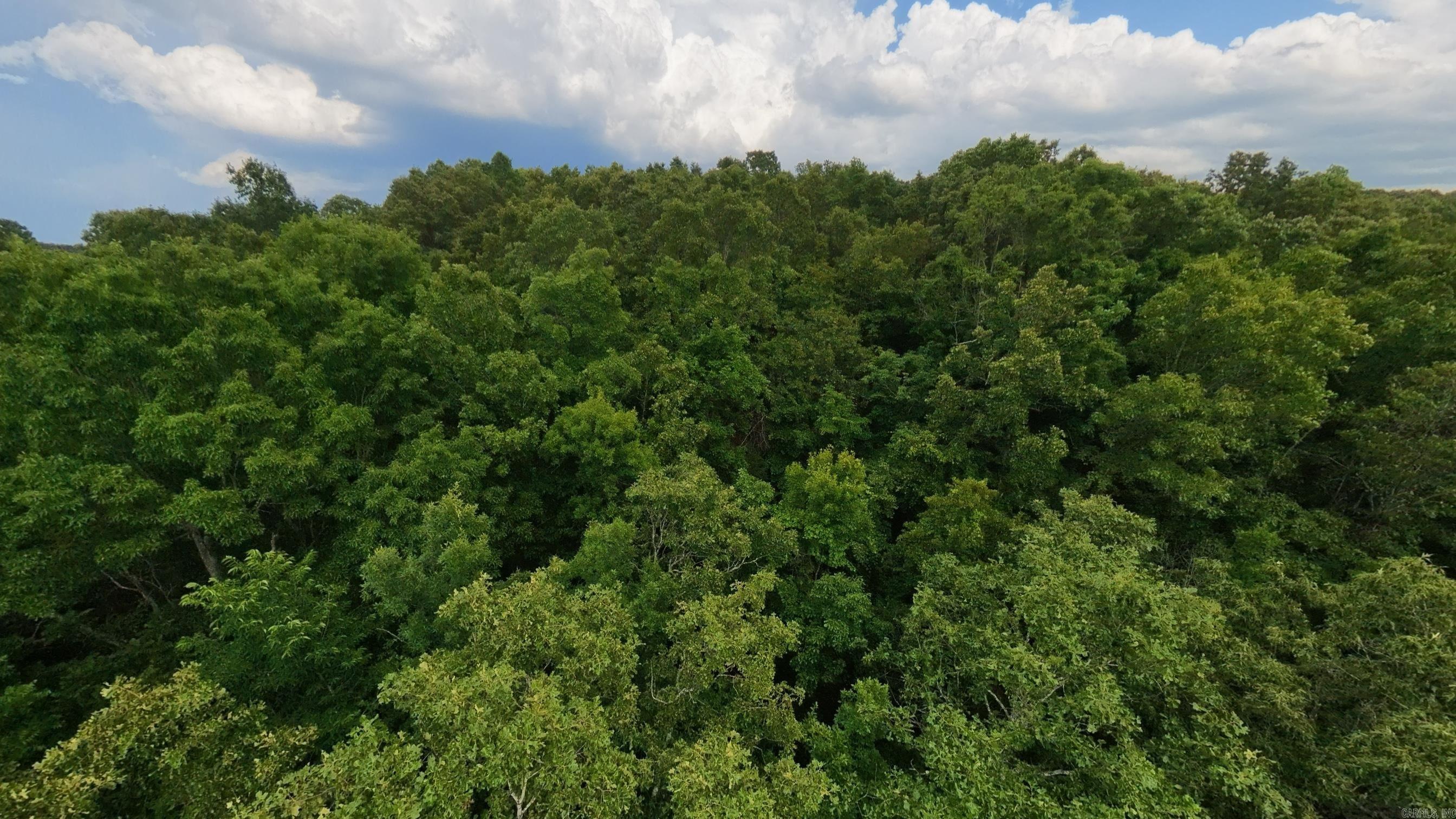 Photo 19 - Vacant Land for sale – 000 N Camp Creek   Mammoth Spring, AR