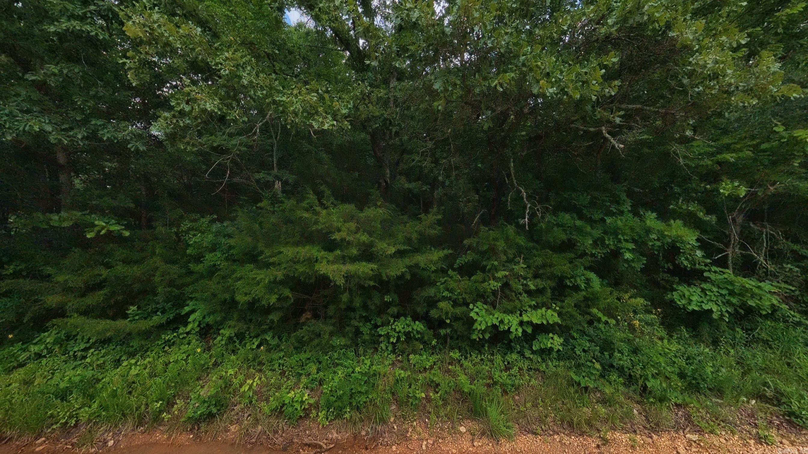 Photo 21 - Vacant Land for sale – 000 N Camp Creek   Mammoth Spring, AR