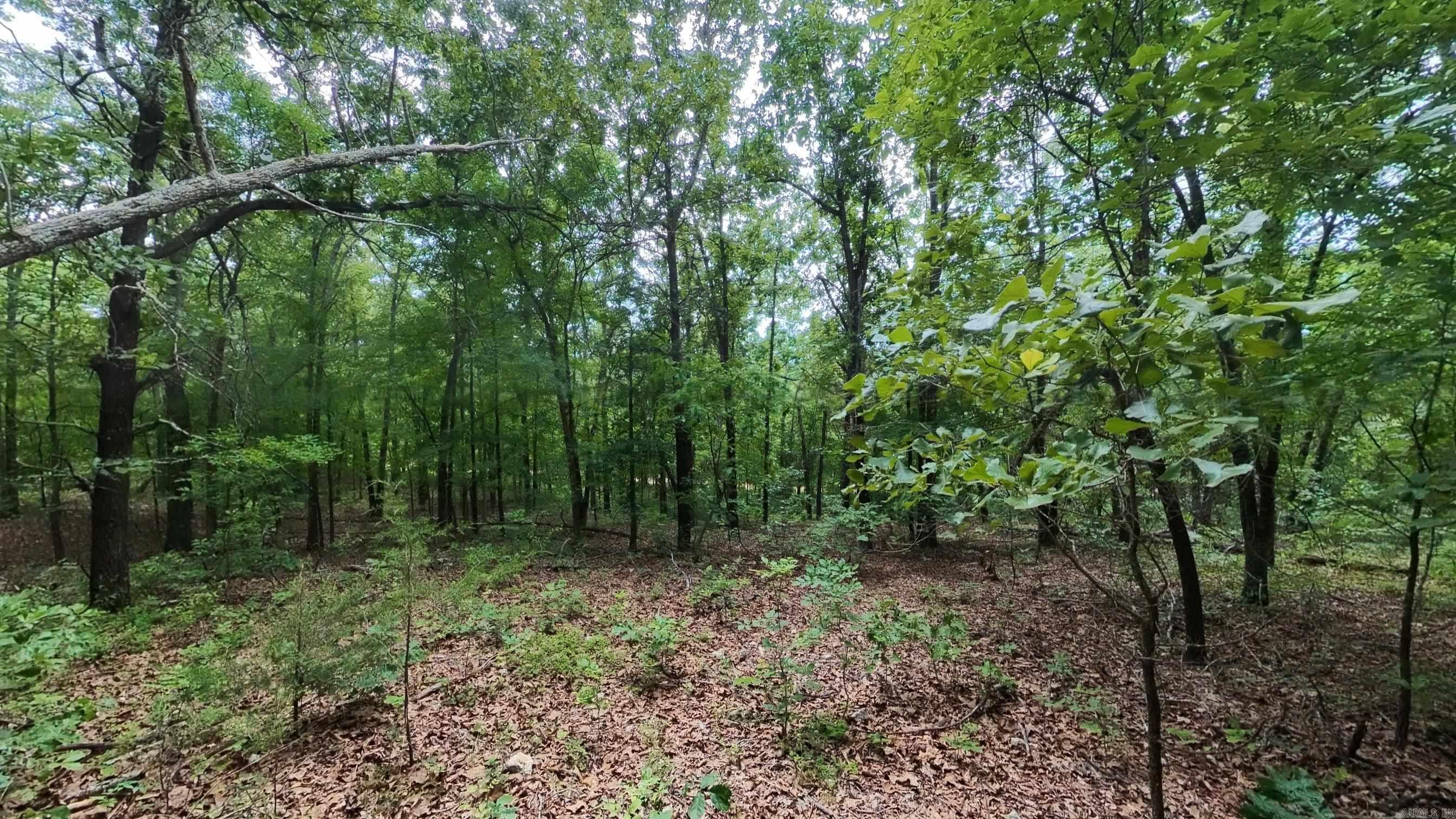 Photo 4 - Vacant Land for sale – 000 N Camp Creek   Mammoth Spring, AR