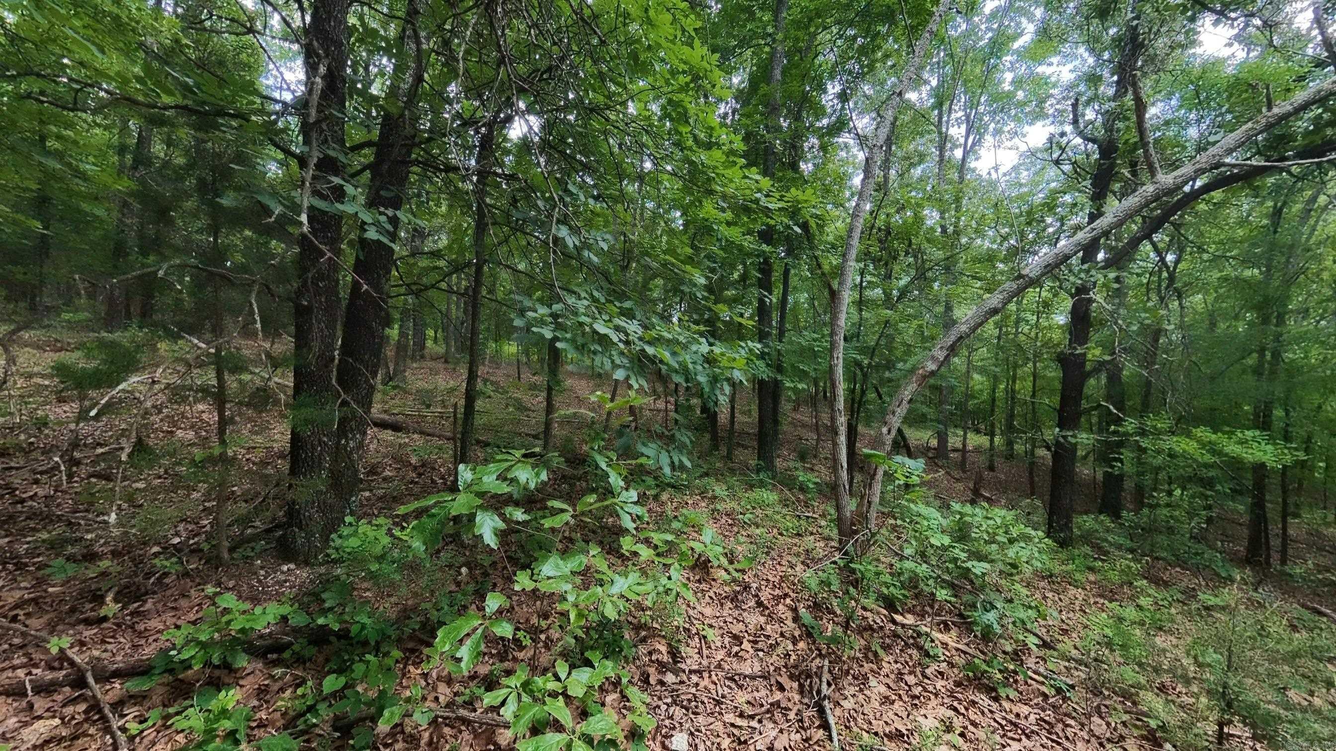 Photo 5 - Vacant Land for sale – 000 N Camp Creek   Mammoth Spring, AR