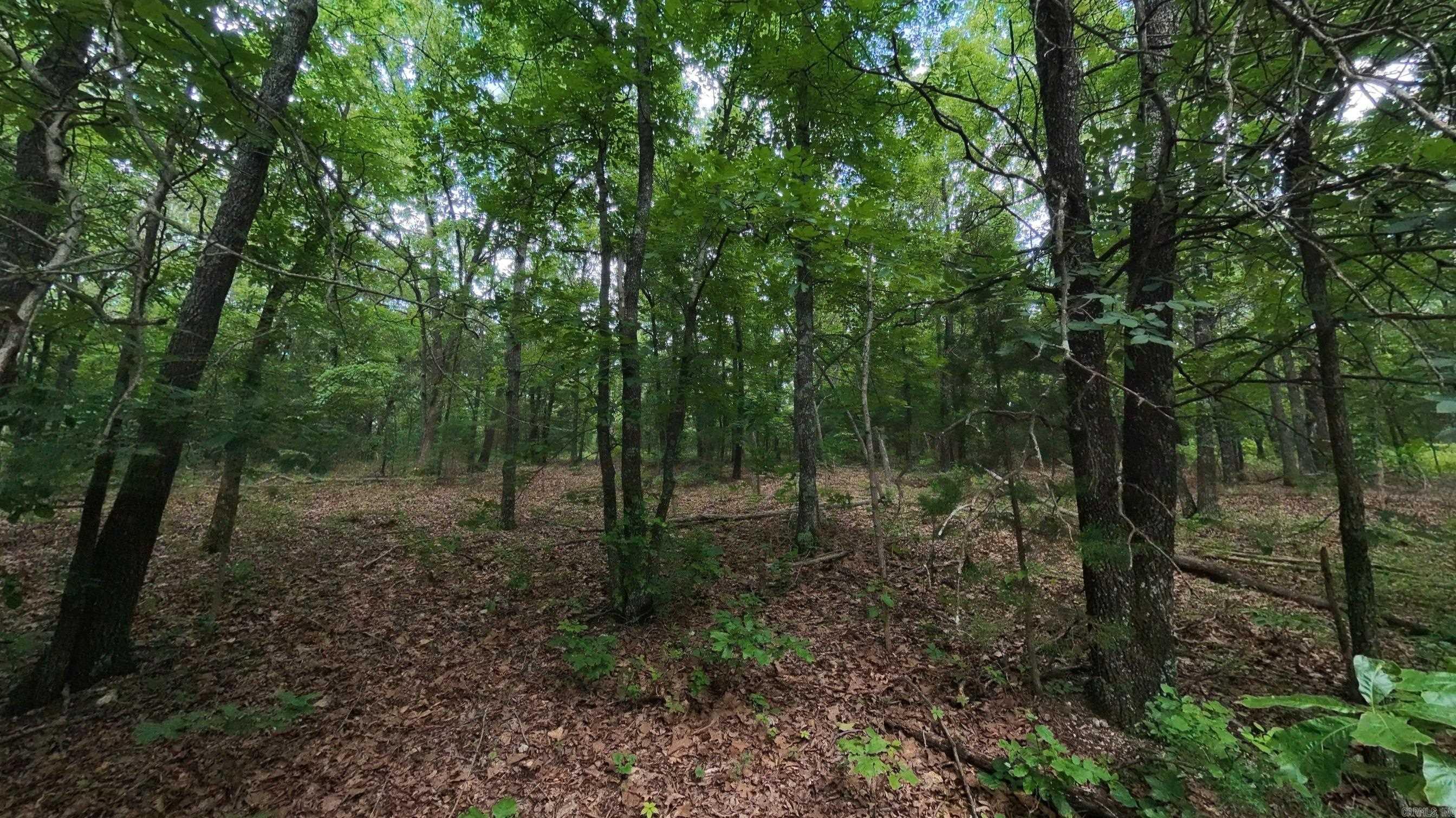 Photo 6 - Vacant Land for sale – 000 N Camp Creek   Mammoth Spring, AR