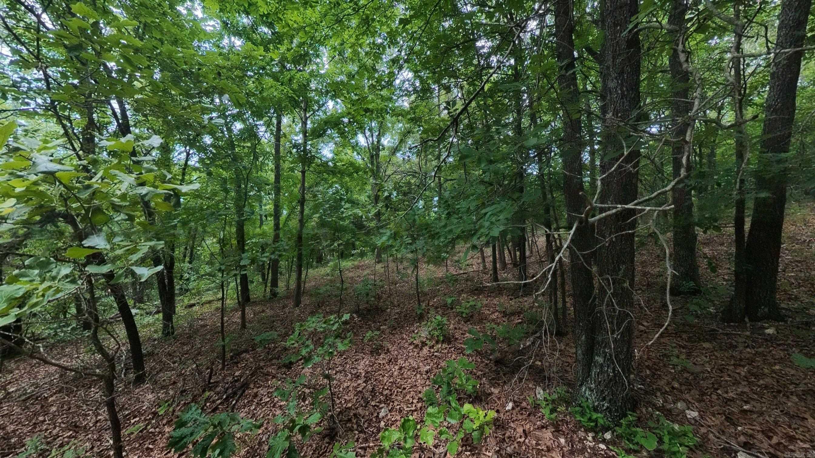 Photo 7 - Vacant Land for sale – 000 N Camp Creek   Mammoth Spring, AR