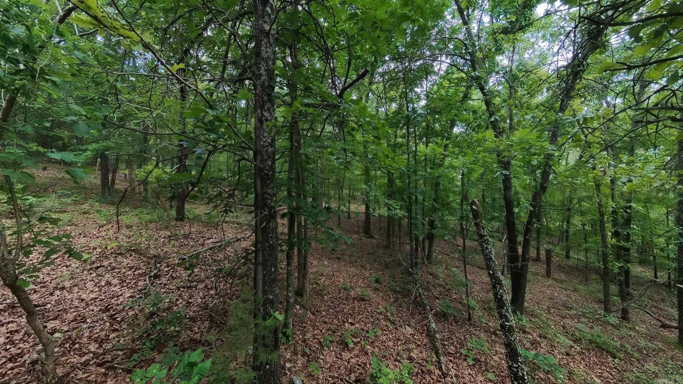 Photo 10 - Vacant Land for sale – 000 N Camp Creek   Mammoth Spring, AR