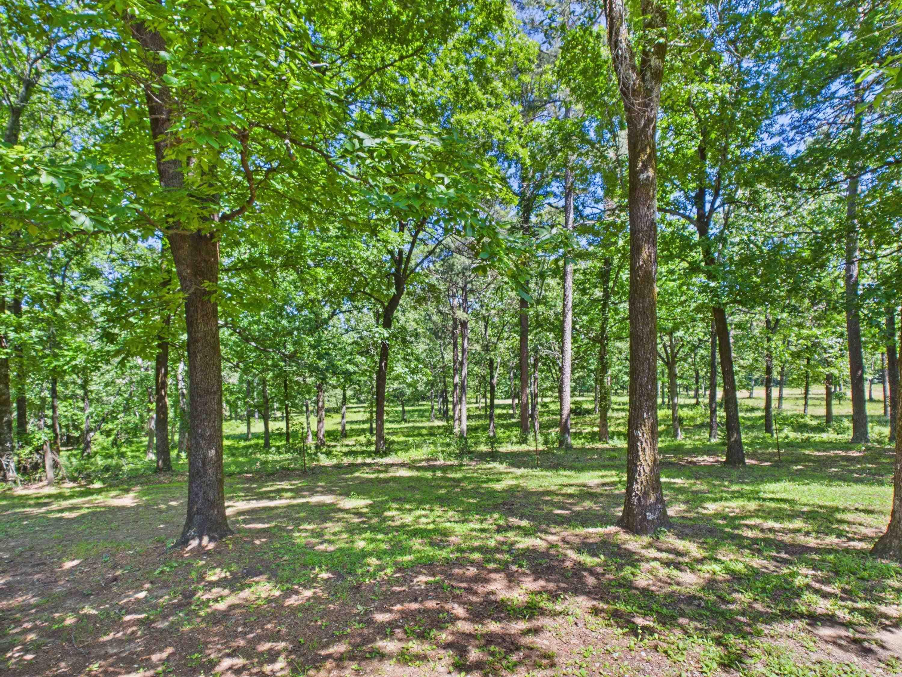 Photo 40 - Residential for sale – 429  Oak Grove Rd   Batesville, AR