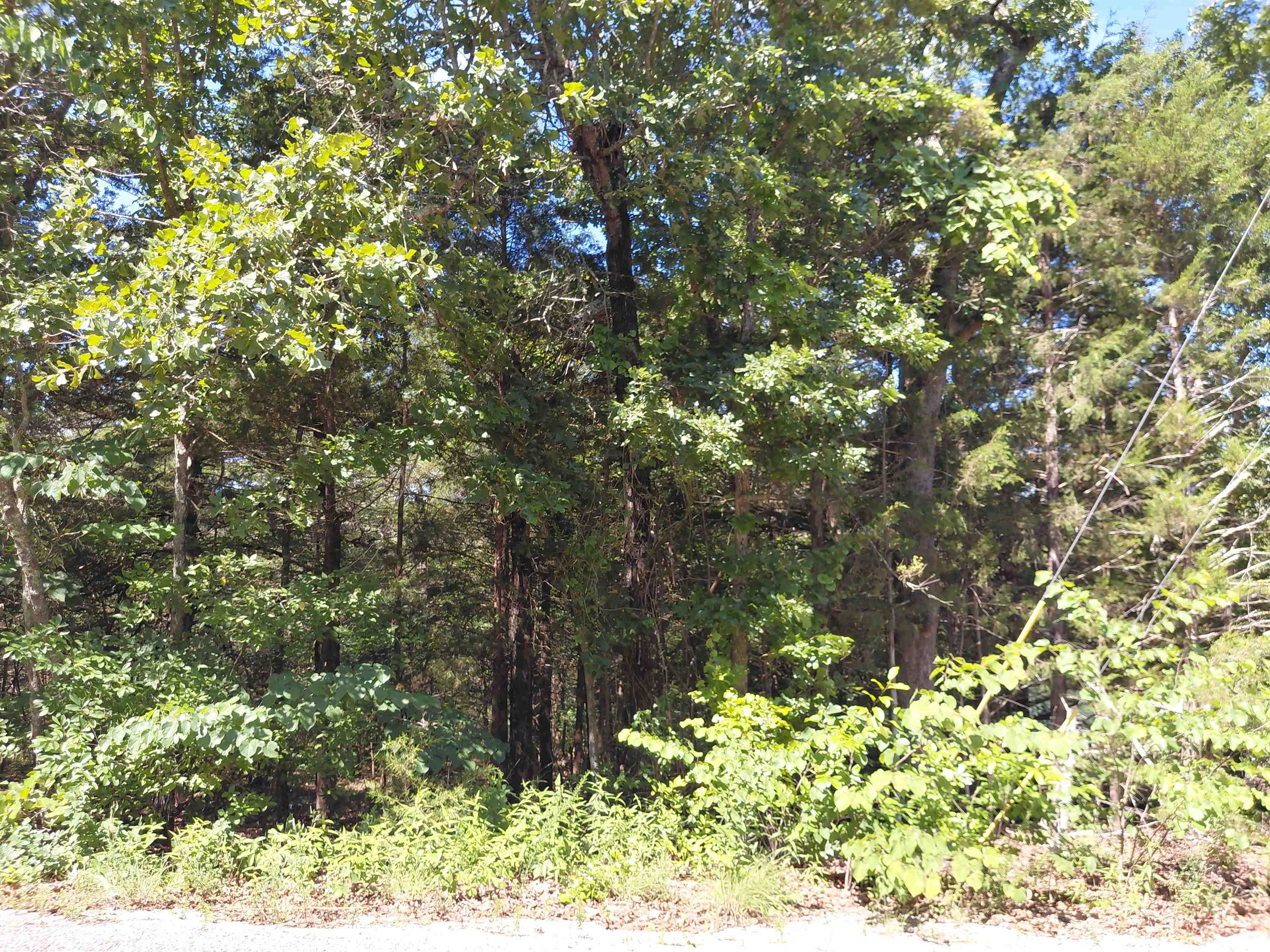 Vacant Land for sale –   San Ildelfonso   Cherokee Village, AR