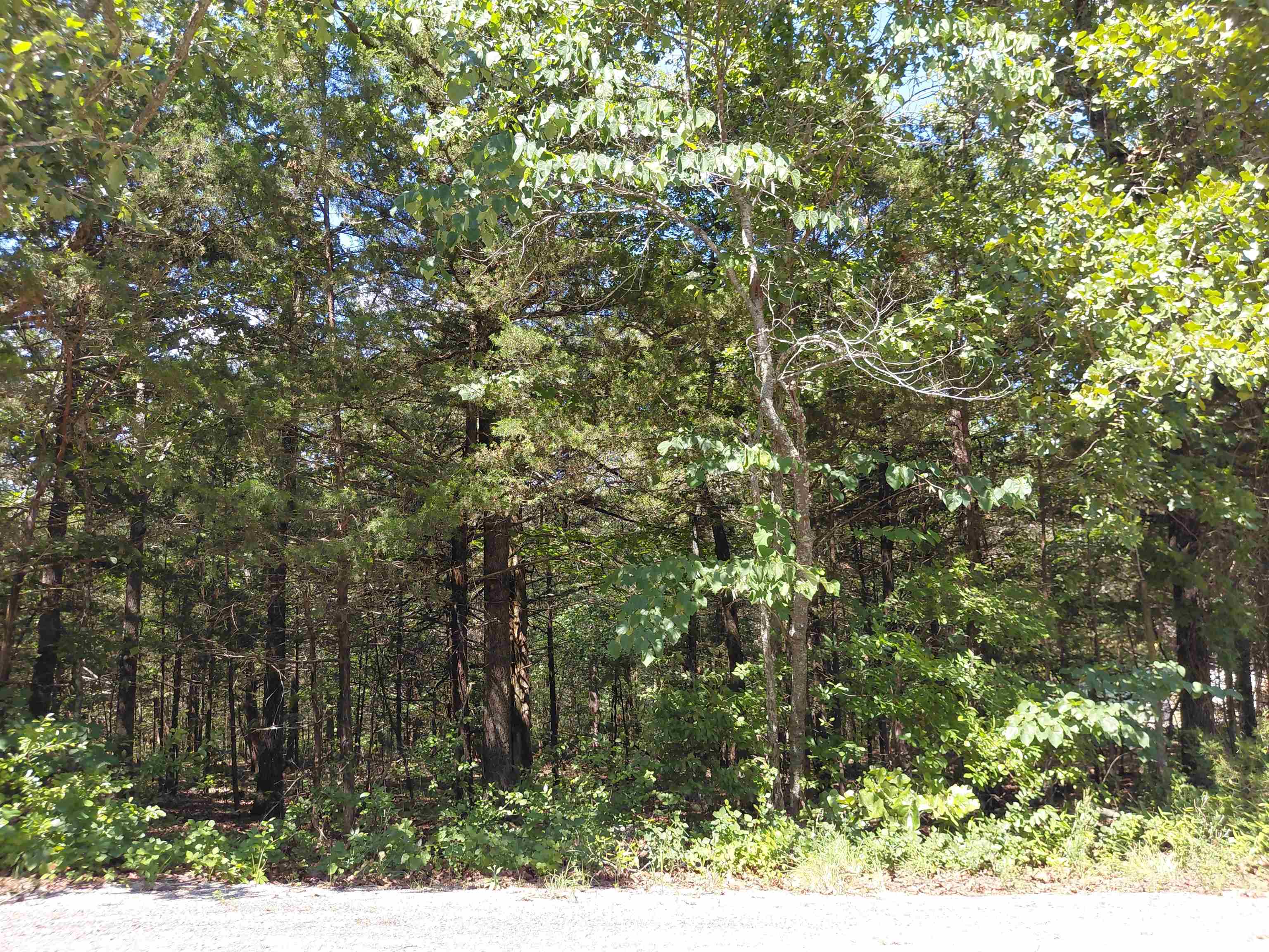 Photo 2 - Vacant Land for sale –   San Ildelfonso   Cherokee Village, AR
