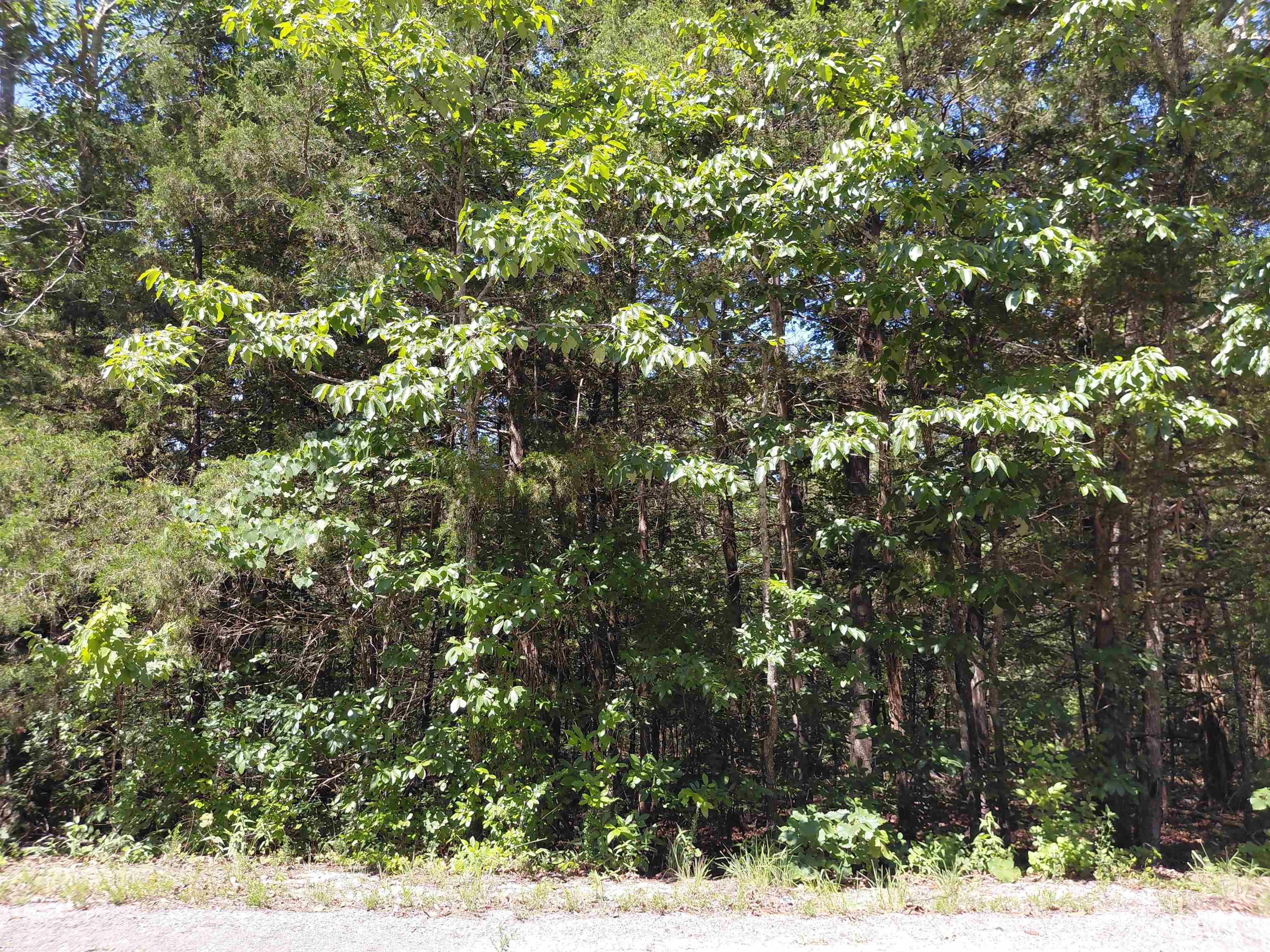 Photo 3 - Vacant Land for sale –   San Ildelfonso   Cherokee Village, AR