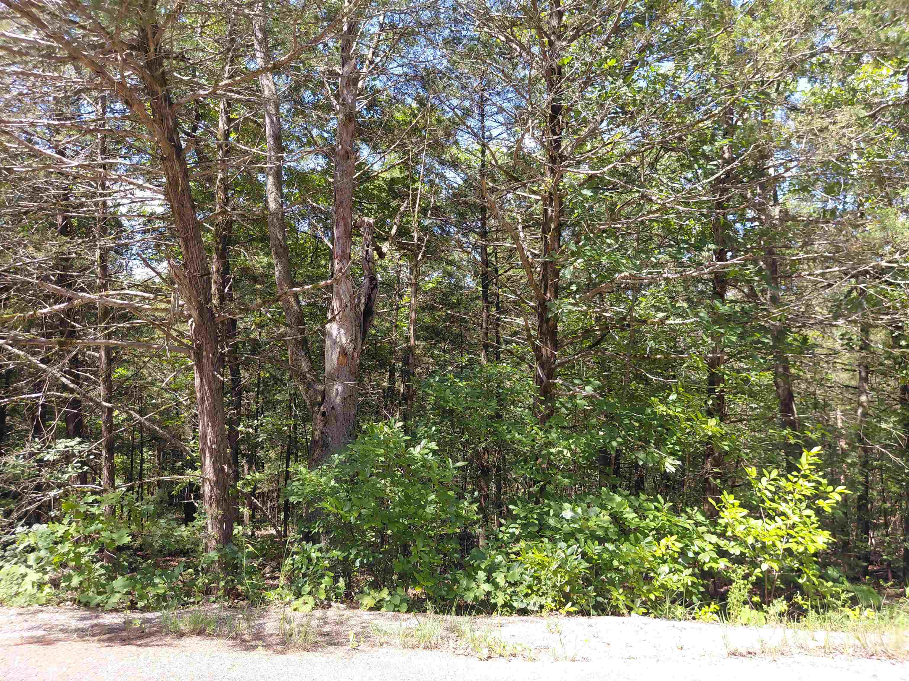 Photo 5 - Vacant Land for sale –   San Ildelfonso   Cherokee Village, AR