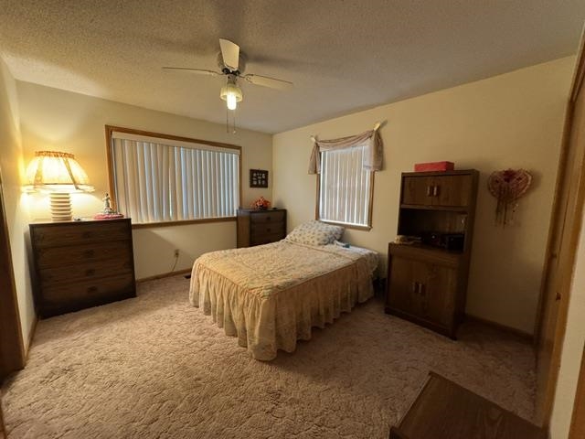Photo 6 - Residential for sale – 203 S Pinocchio   Horseshoe Bend, AR