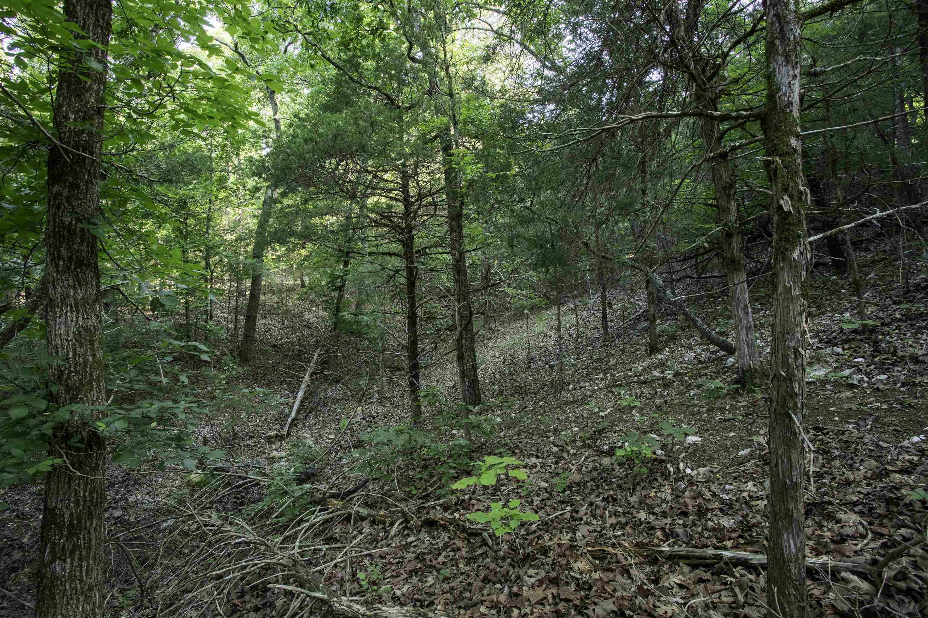 Photo 11 - Vacant Land for sale – 000  Ark Traveler   Hardy, AR