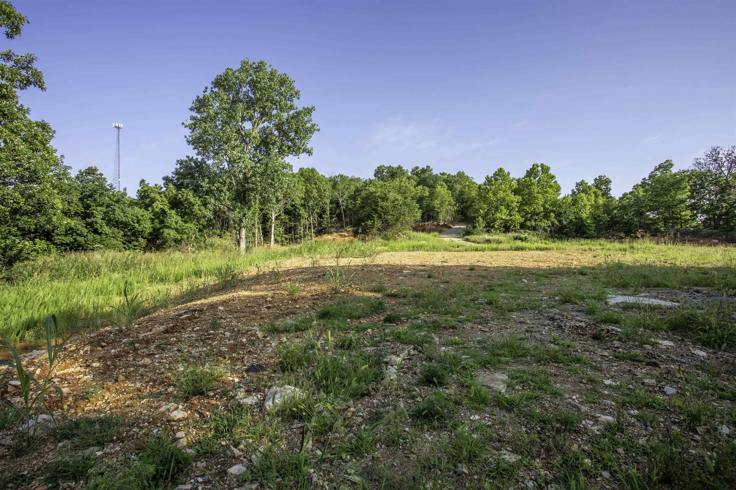 Photo 5 - Vacant Land for sale – 000  Ark Traveler   Hardy, AR