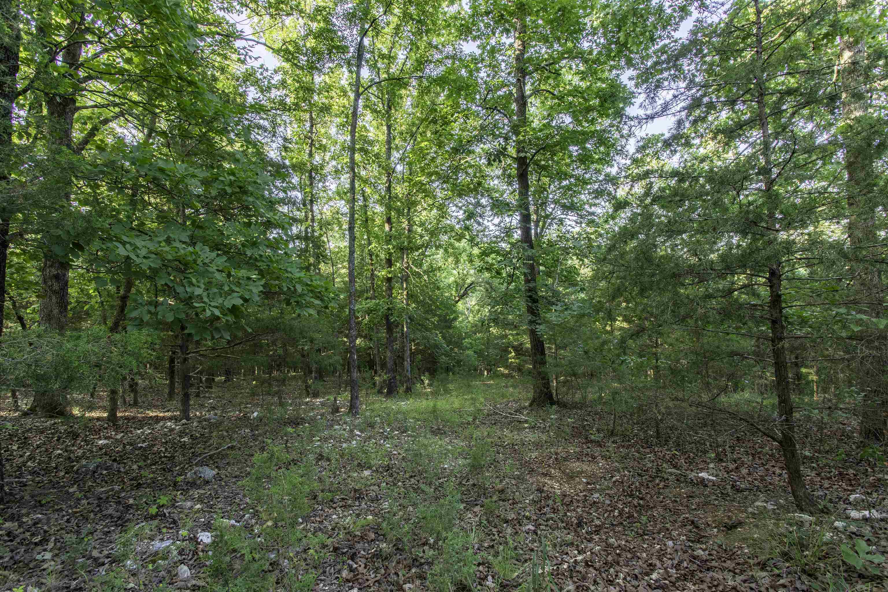Photo 6 - Vacant Land for sale – 000  Ark Traveler   Hardy, AR