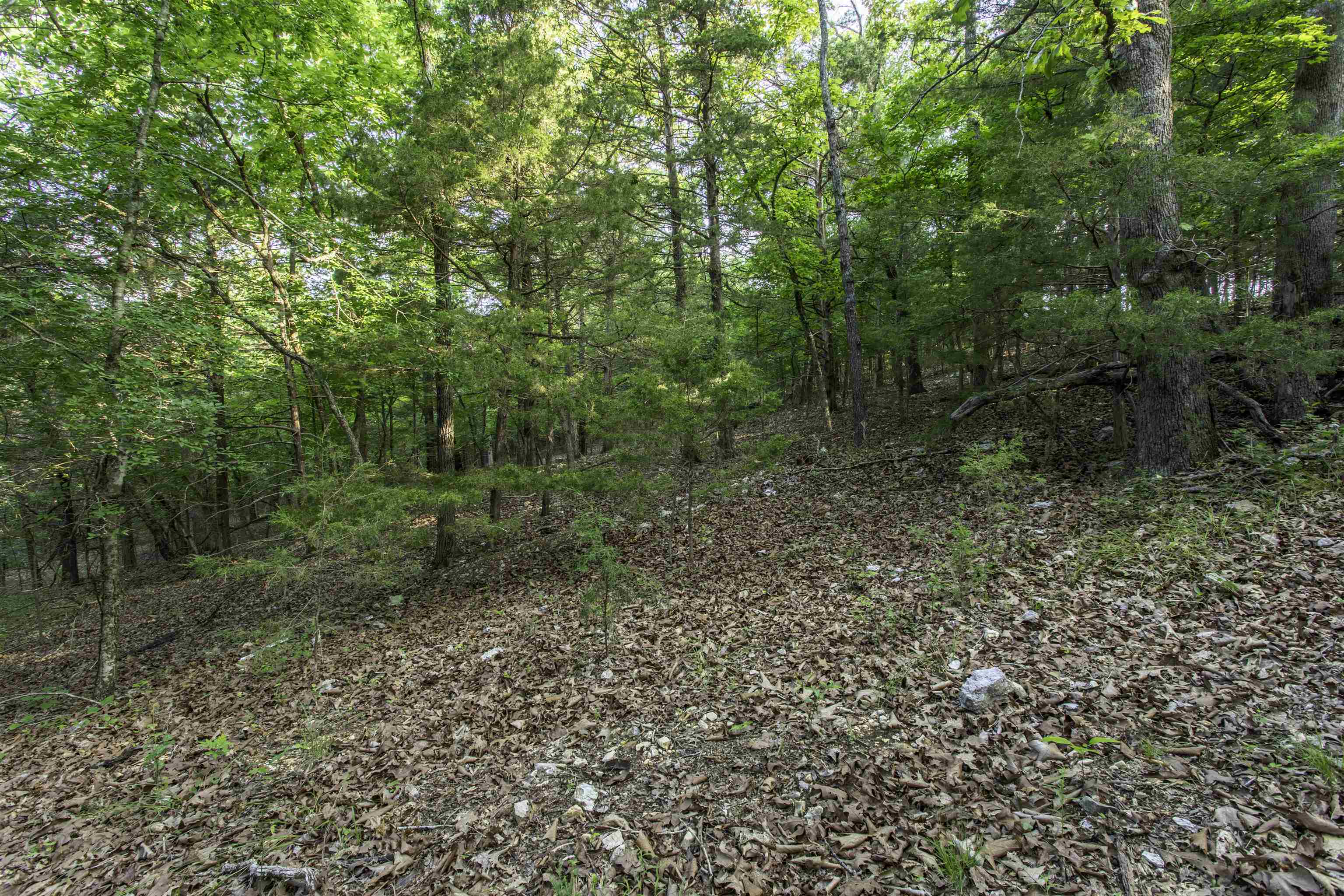 Photo 7 - Vacant Land for sale – 000  Ark Traveler   Hardy, AR
