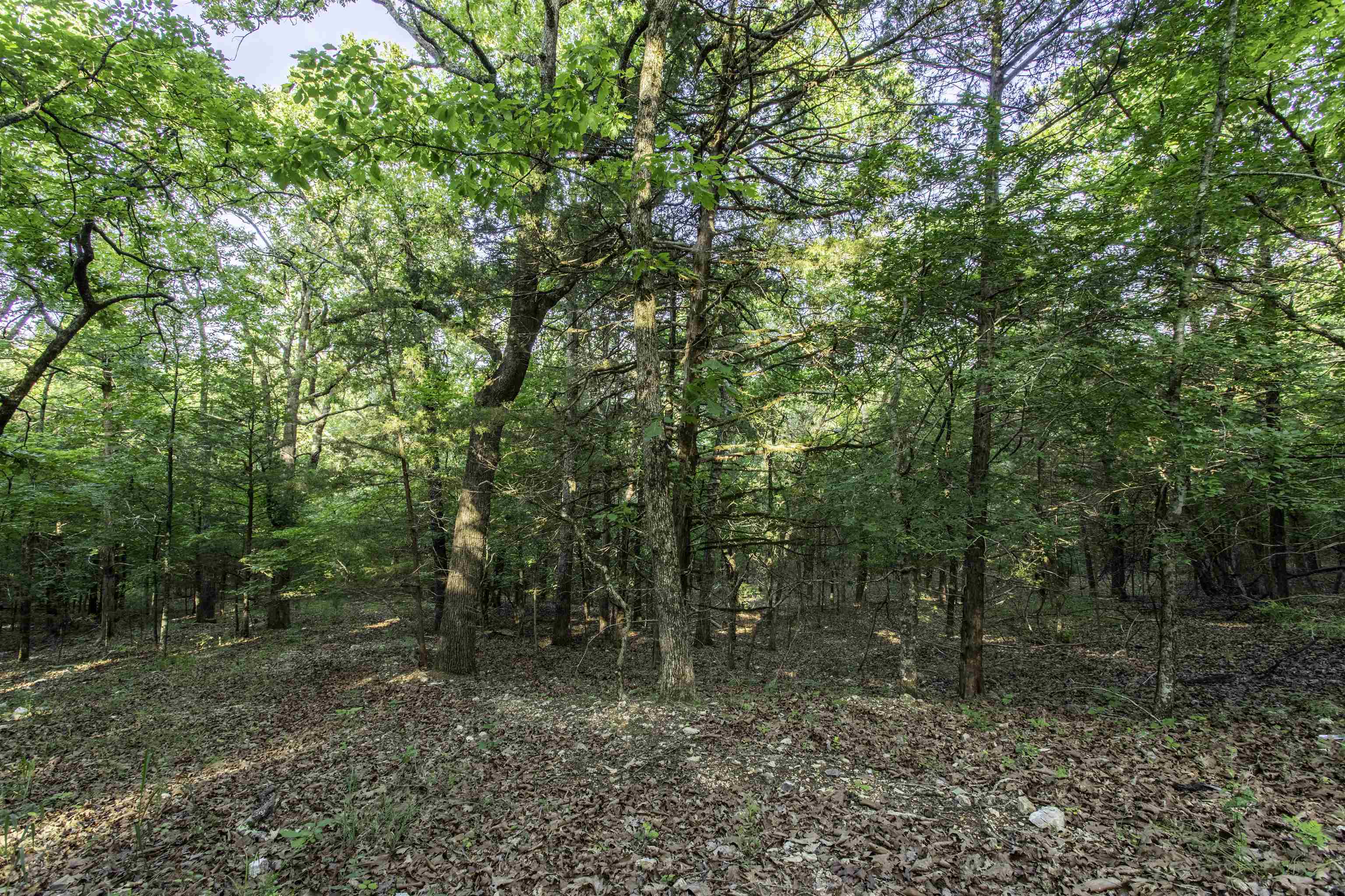 Photo 8 - Vacant Land for sale – 000  Ark Traveler   Hardy, AR