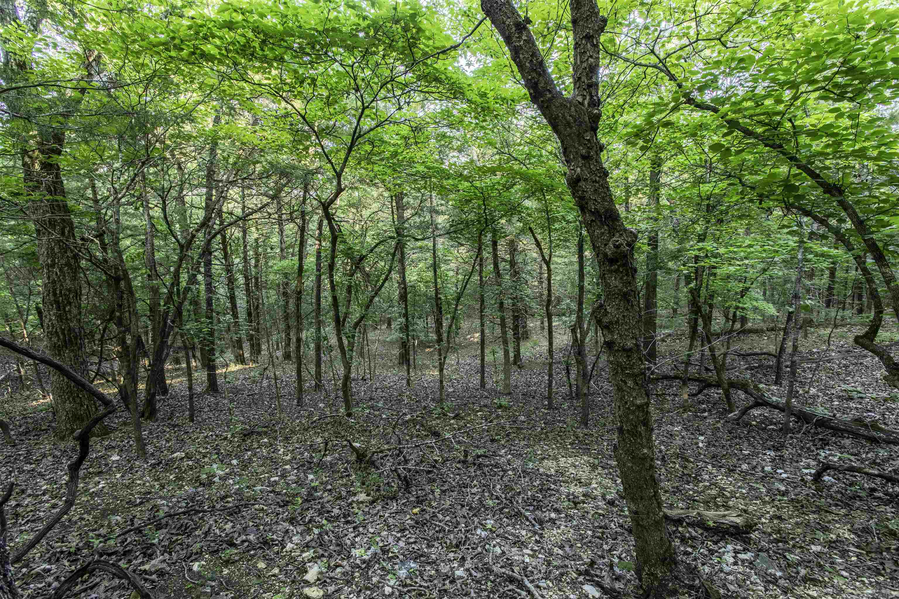 Photo 9 - Vacant Land for sale – 000  Ark Traveler   Hardy, AR