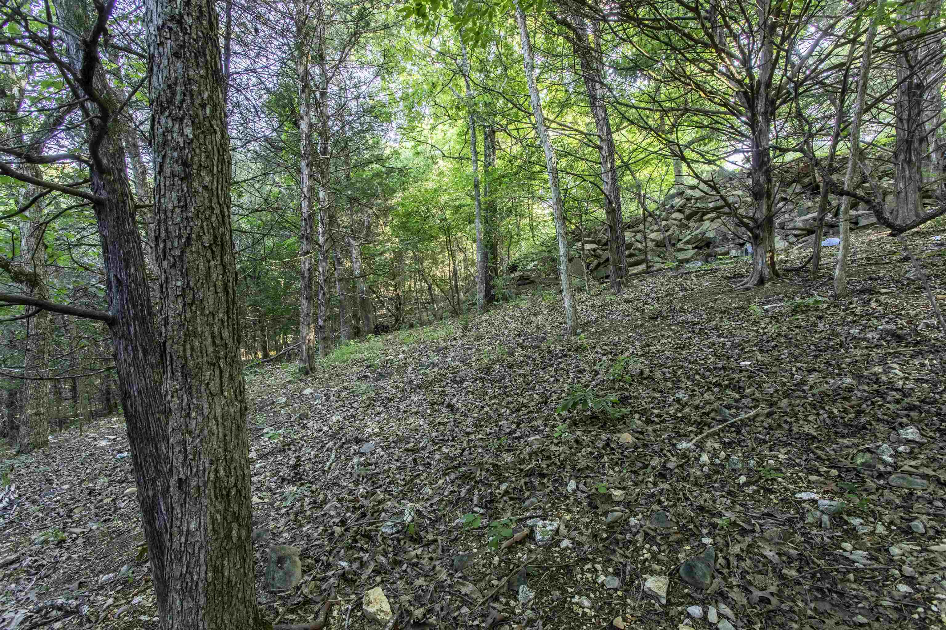 Photo 10 - Vacant Land for sale – 000  Ark Traveler   Hardy, AR