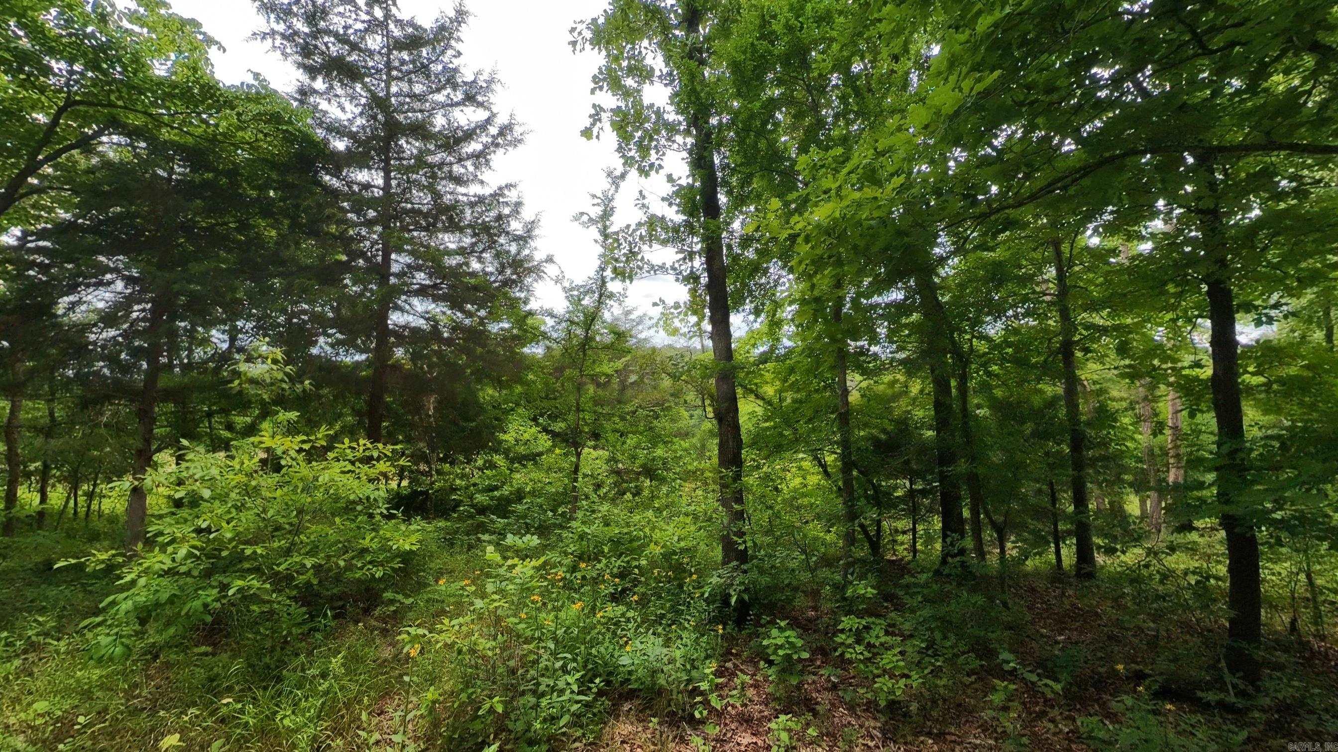 Photo 11 - Vacant Land for sale – 000  Highway 289   Mammoth Spring, AR