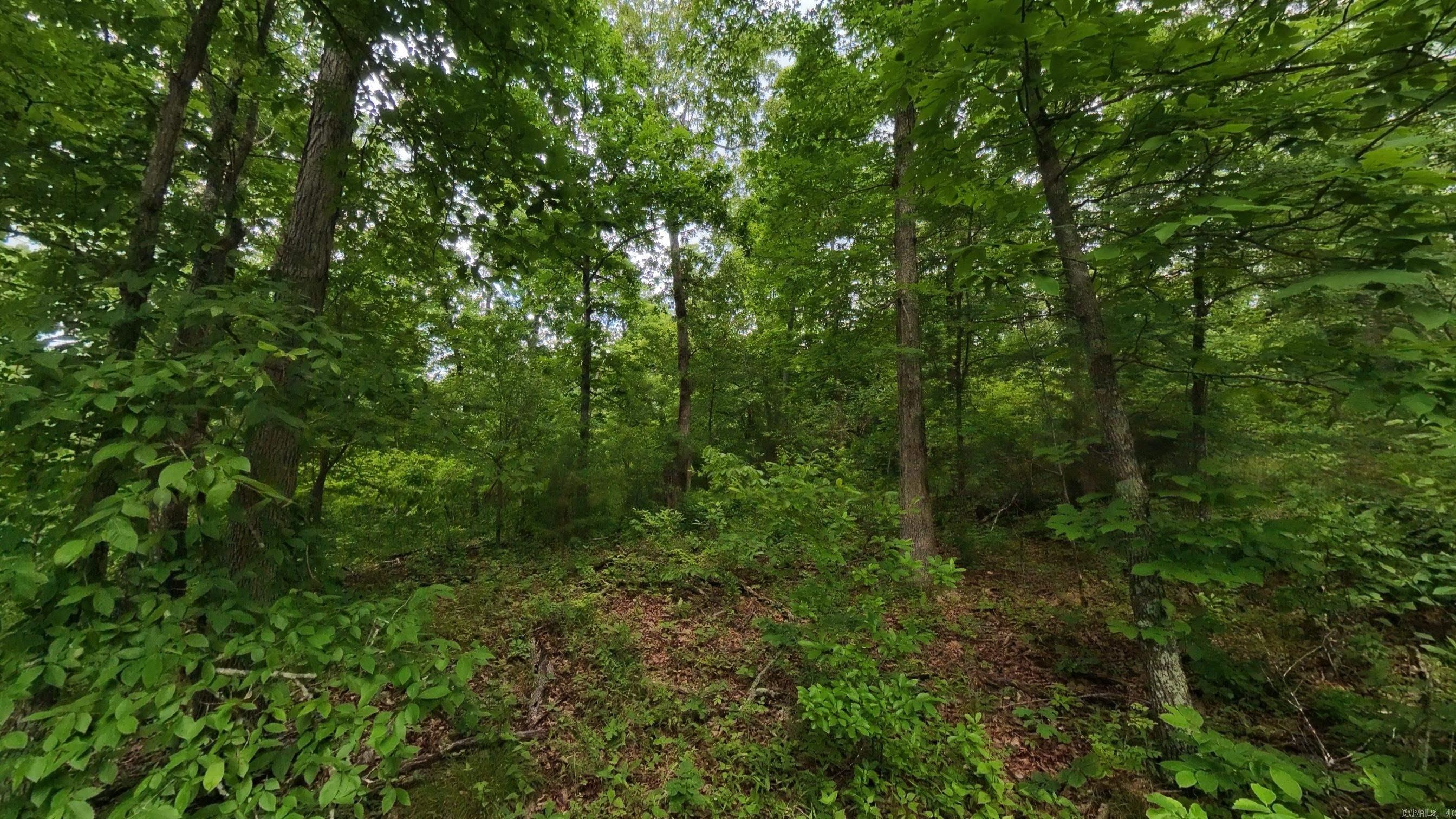 Photo 12 - Vacant Land for sale – 000  Highway 289   Mammoth Spring, AR