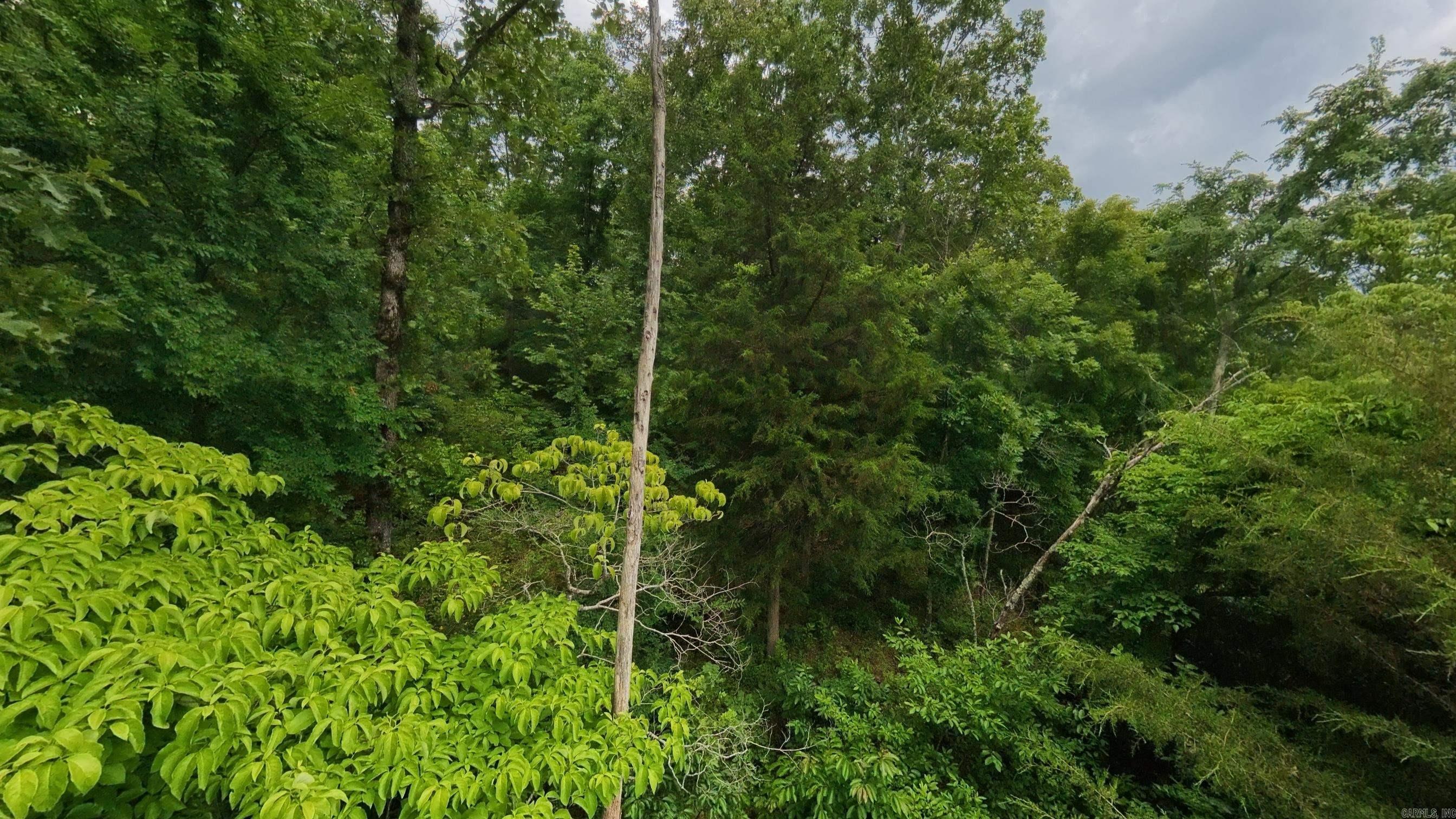 Photo 15 - Vacant Land for sale – 000  Highway 289   Mammoth Spring, AR