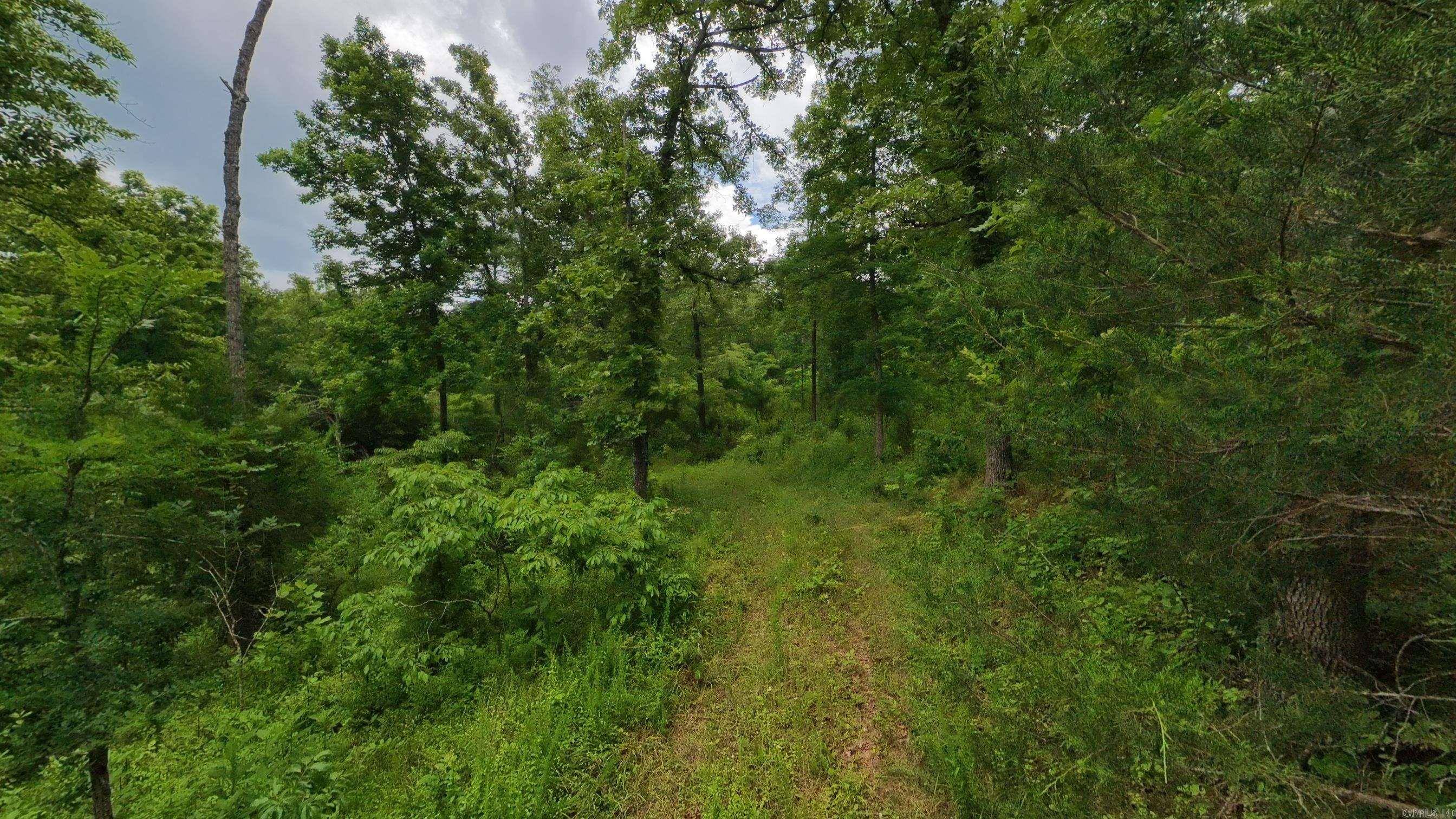 Photo 16 - Vacant Land for sale – 000  Highway 289   Mammoth Spring, AR